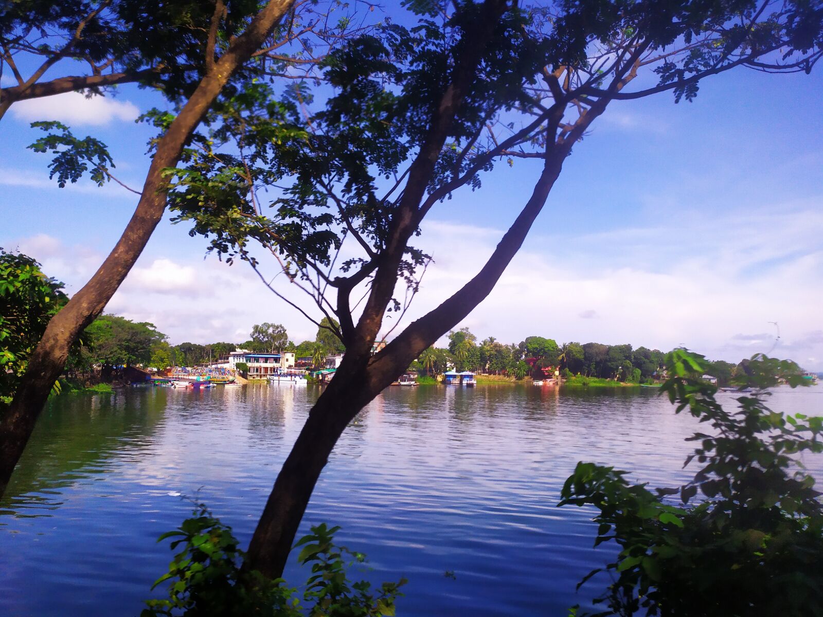 Xiaomi Redmi Note 7 sample photo. Beautiful, lake, tree photography