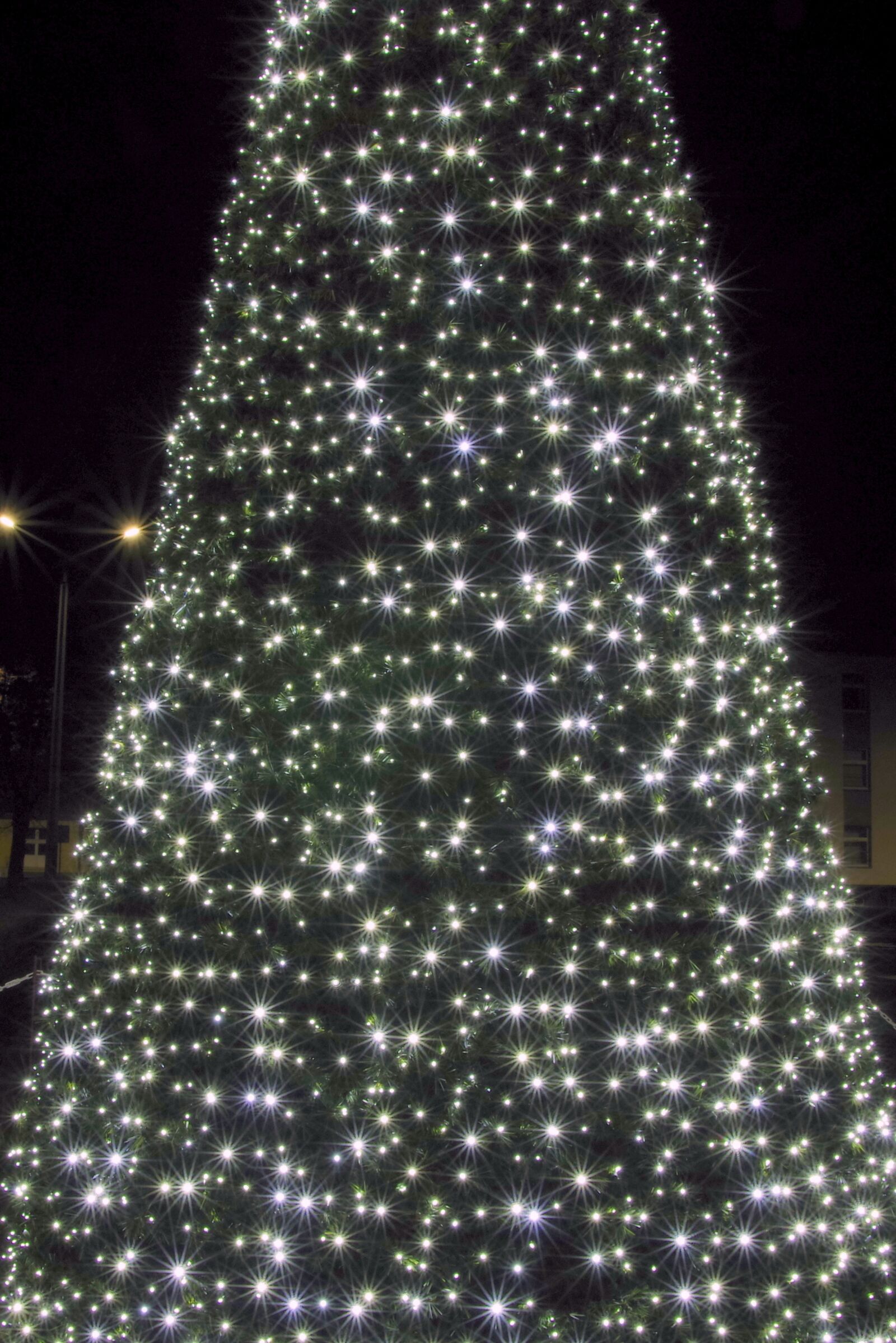 Pentax K-S2 sample photo. Christmas tree, the lights photography