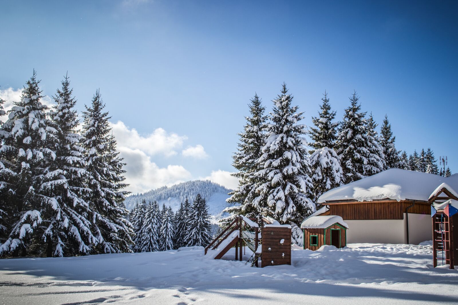 Nikon D3100 sample photo. Winter, snow, snowy photography