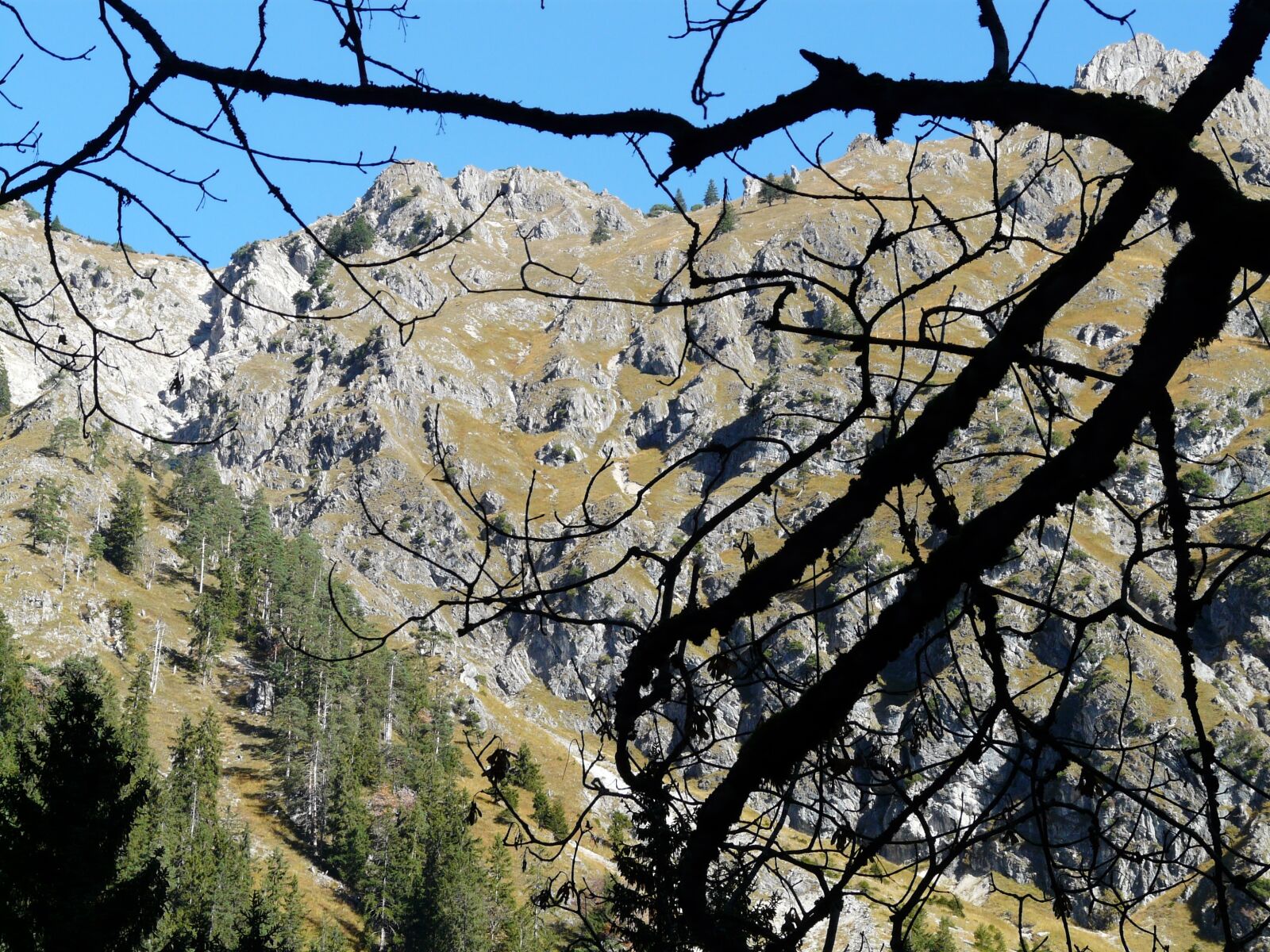 Panasonic DMC-FZ18 sample photo. Mountains, alpine, allgäu photography