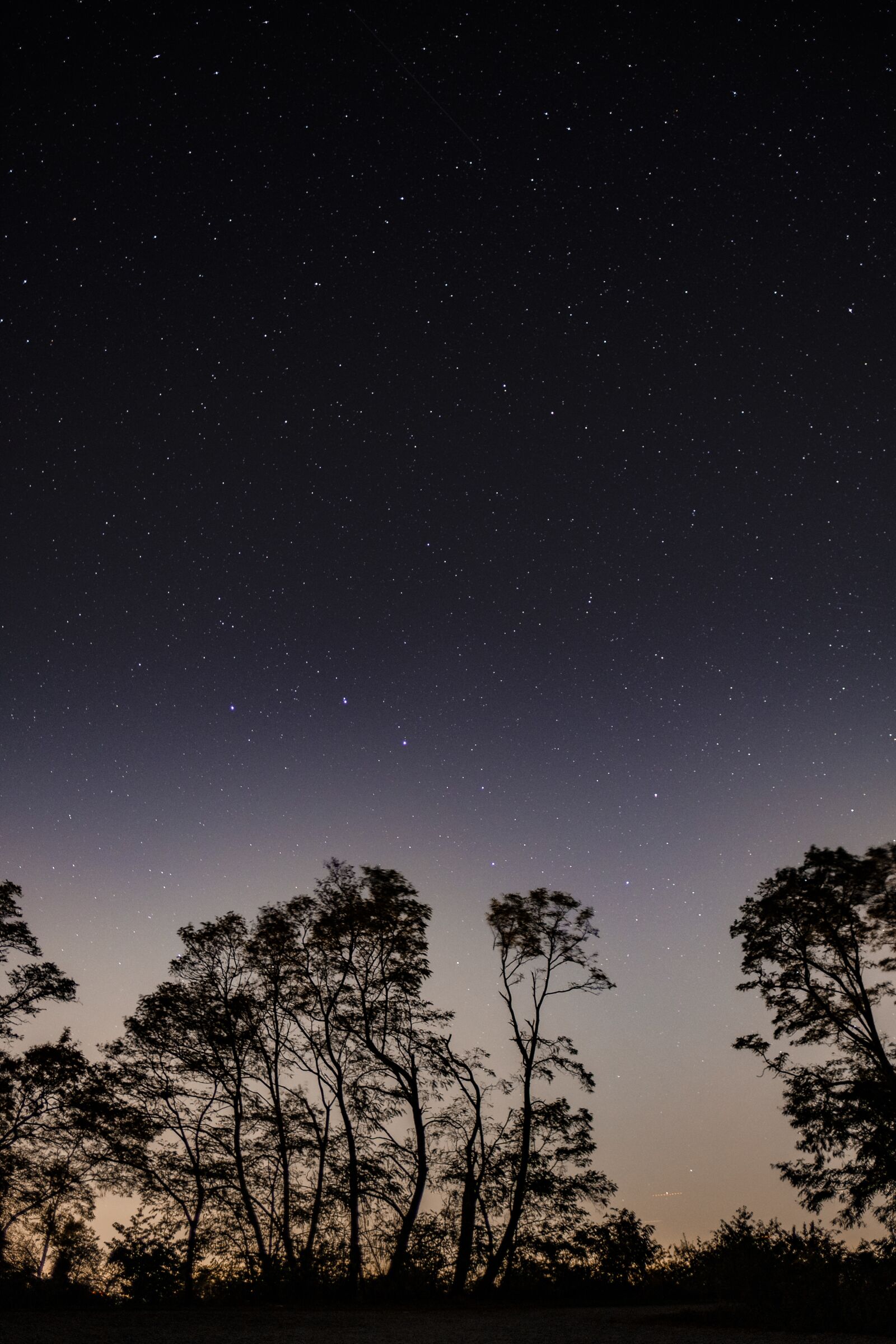 Fujifilm X-T2 + Fujifilm XF 16mm F1.4 R WR sample photo. Sky, star, starry sky photography