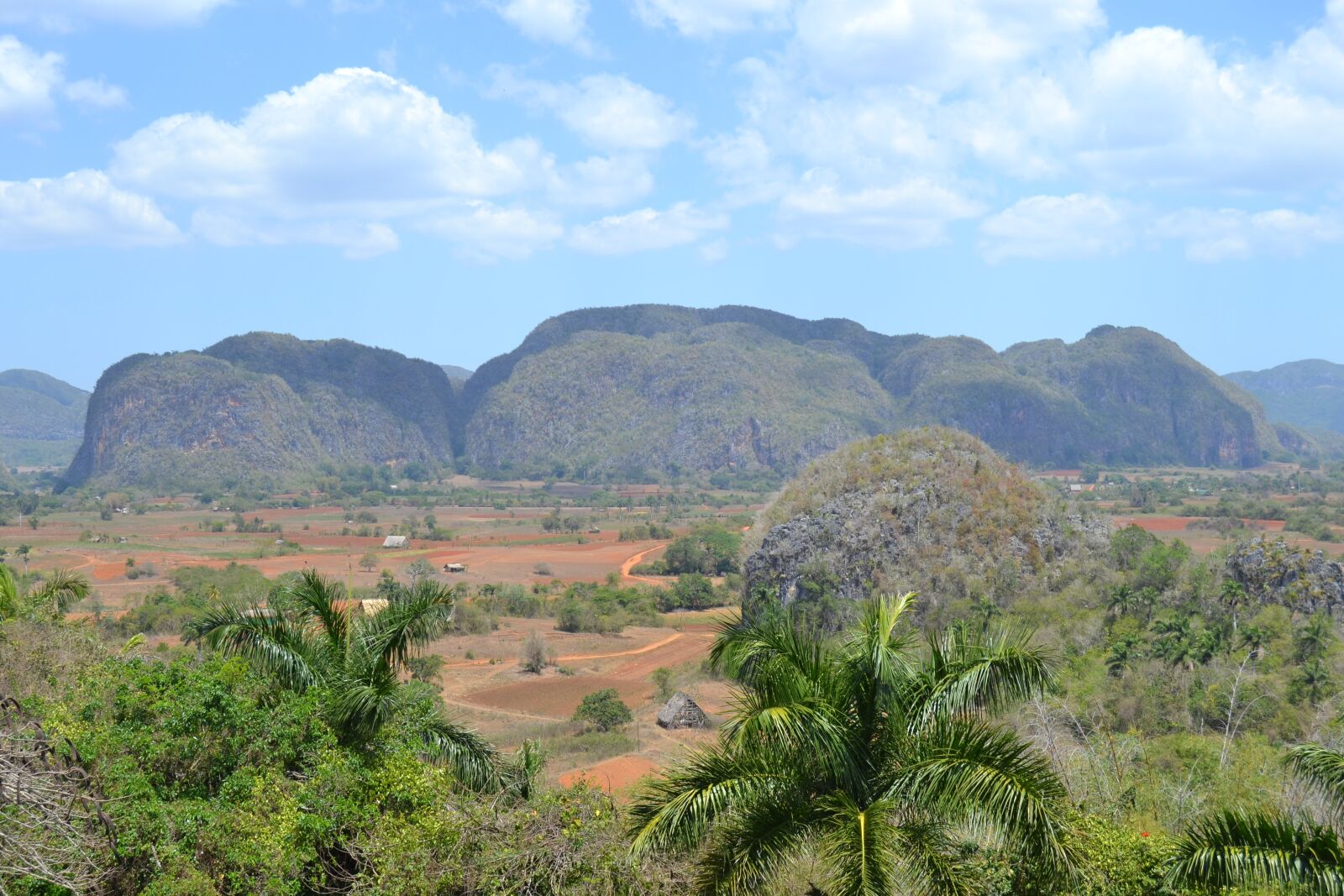 Nikon D3100 sample photo. Cuba, vinalestal, nature photography