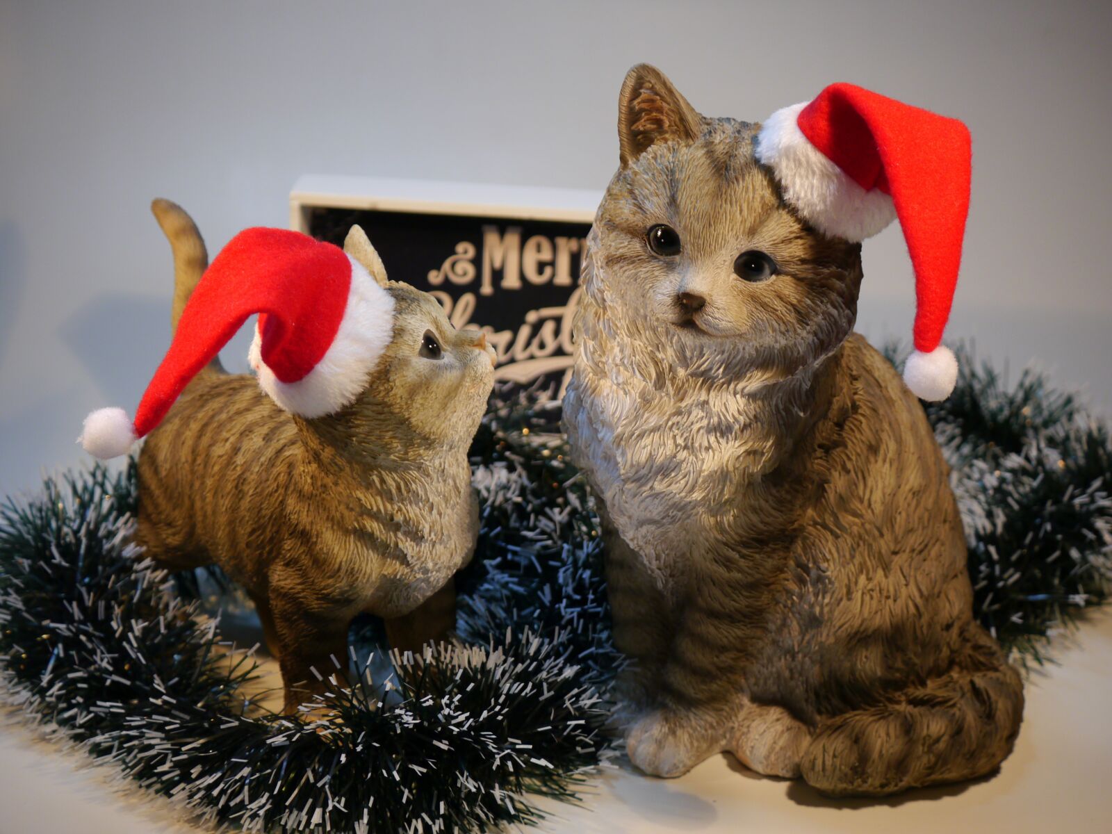 Panasonic Lumix DMC-G5 sample photo. Cat, christmas, nicholas photography
