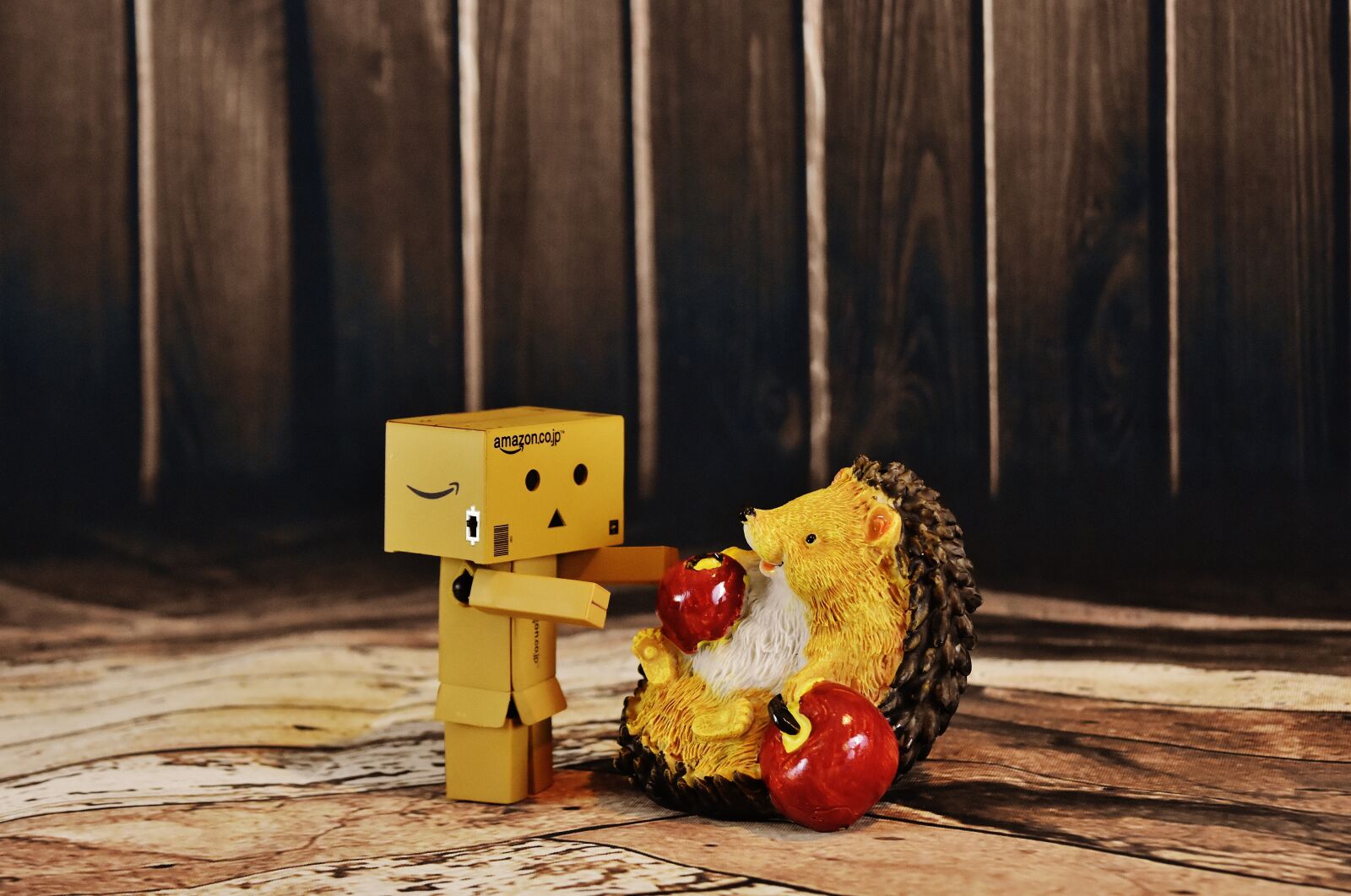 Nikon D7200 sample photo. Figures, danbo, hedgehog photography