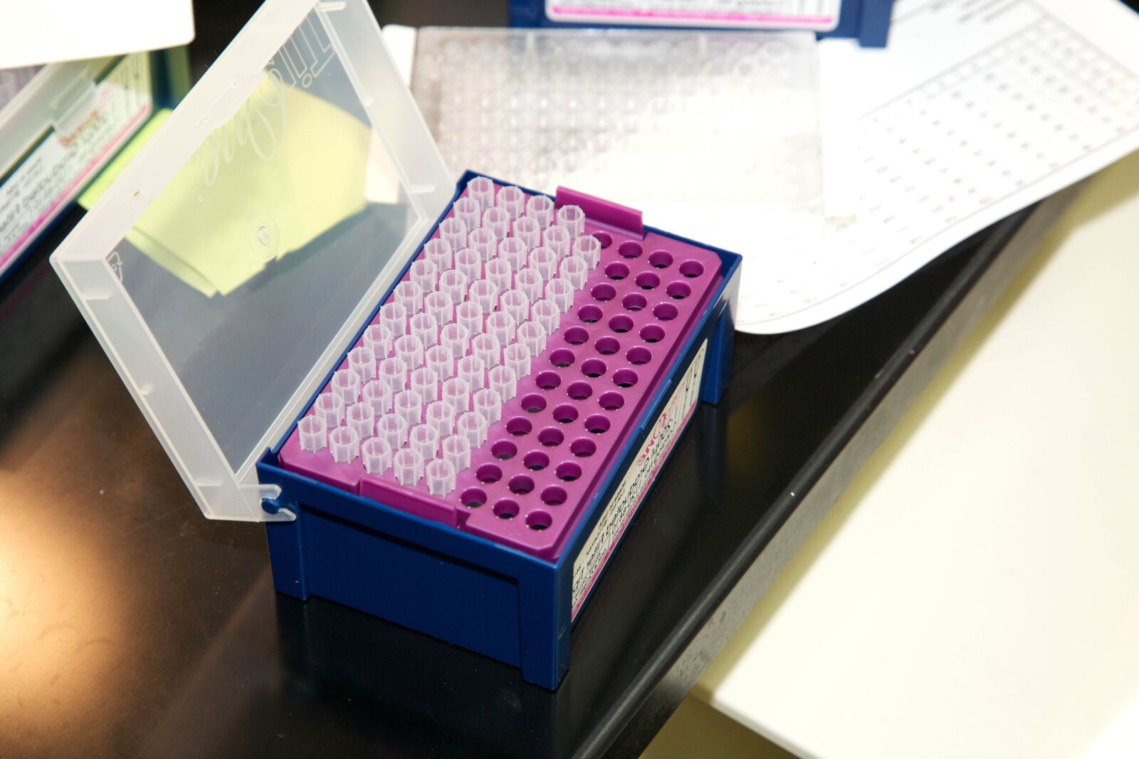 Canon EOS 5D Mark II sample photo. Deoxyribonucleic acid, testing, covid-19 photography