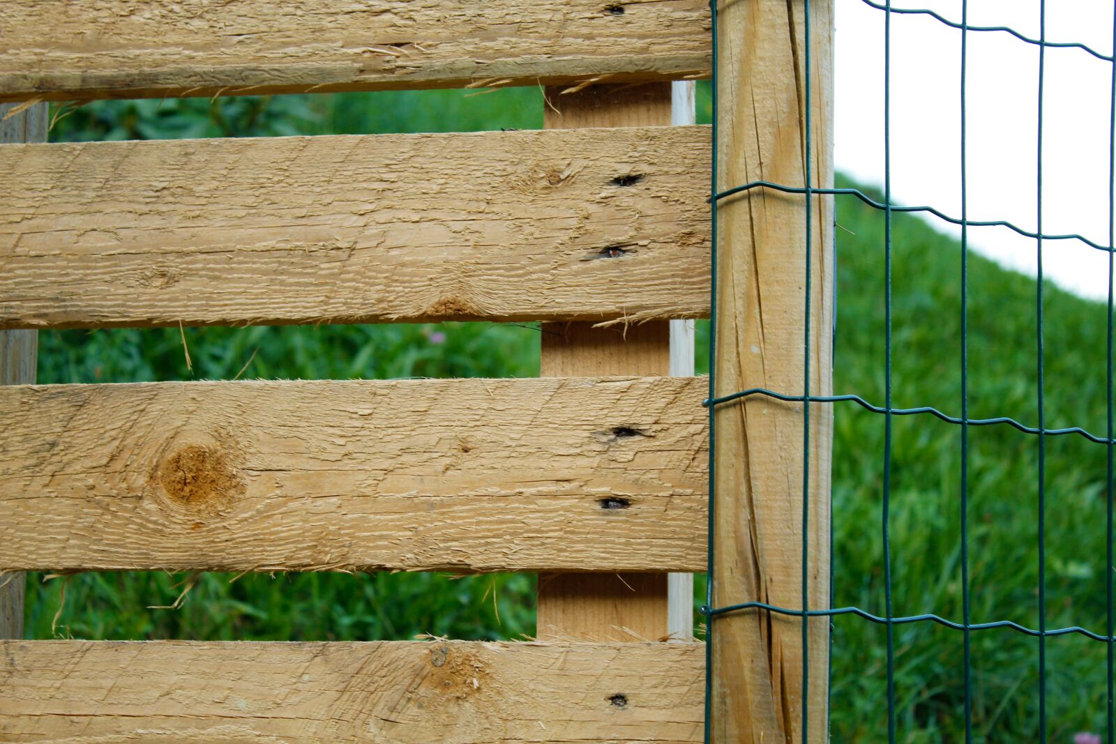 Canon EOS 1300D (EOS Rebel T6 / EOS Kiss X80) sample photo. Fence, wood, wood fence photography