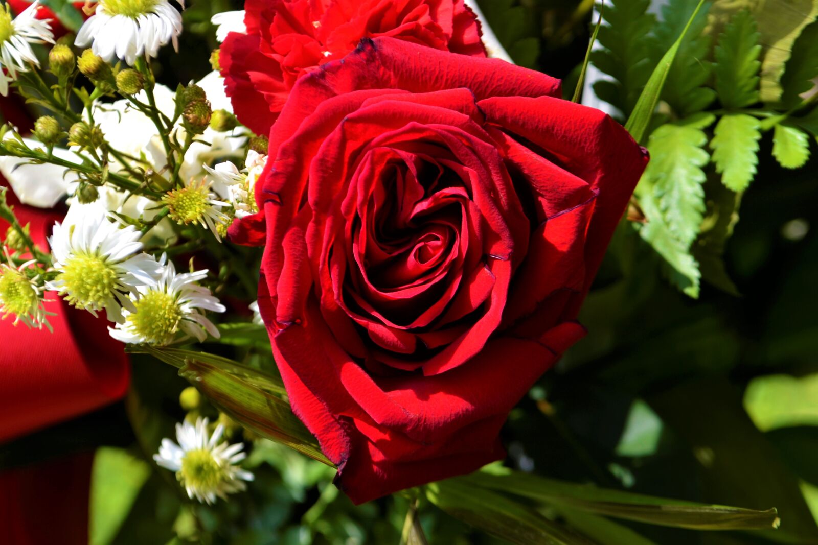 Nikon D3100 sample photo. Rose, bouquet, wedding photography