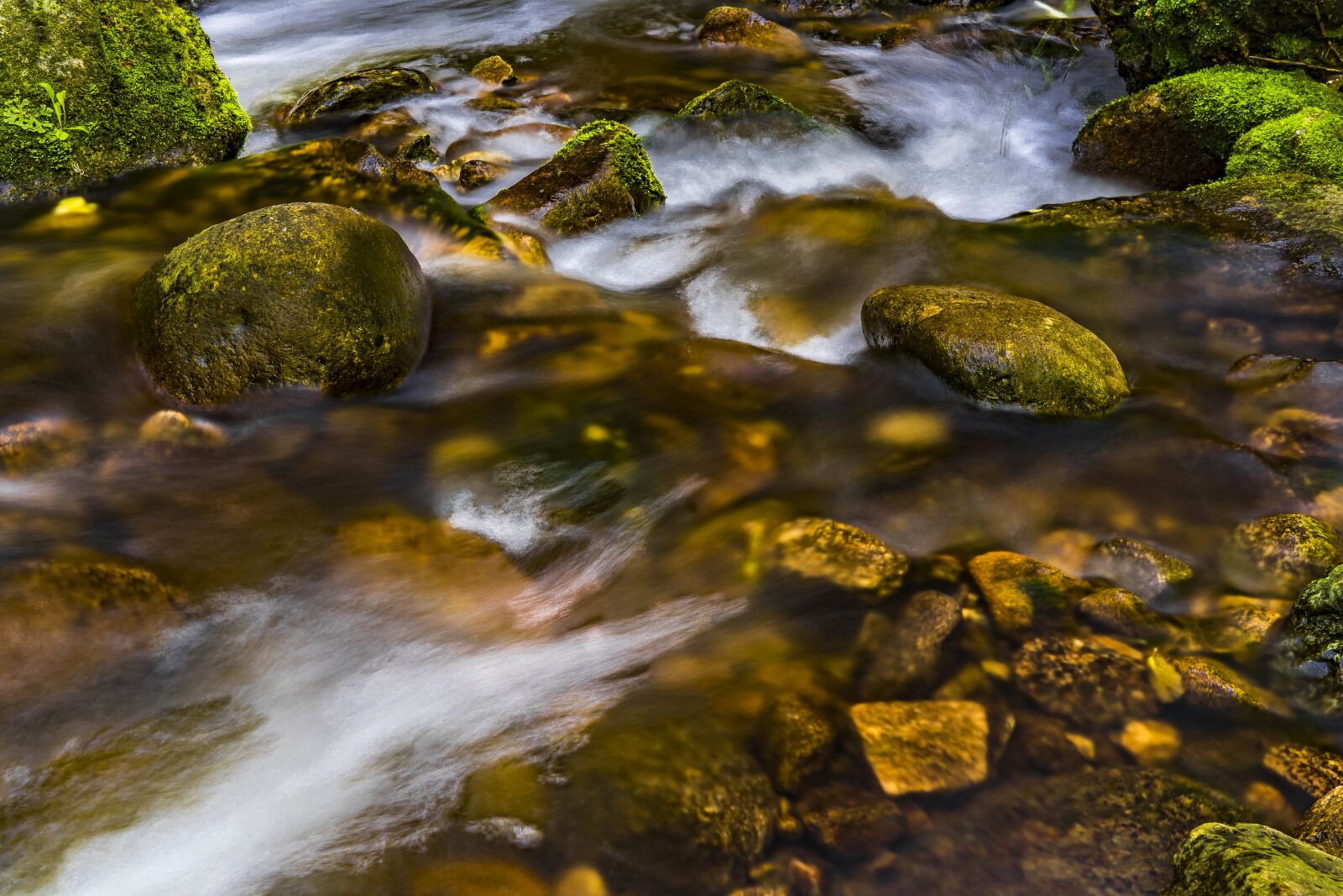 Sony a6300 + Sigma 30mm F2.8 EX DN sample photo. Water, river, nature photography