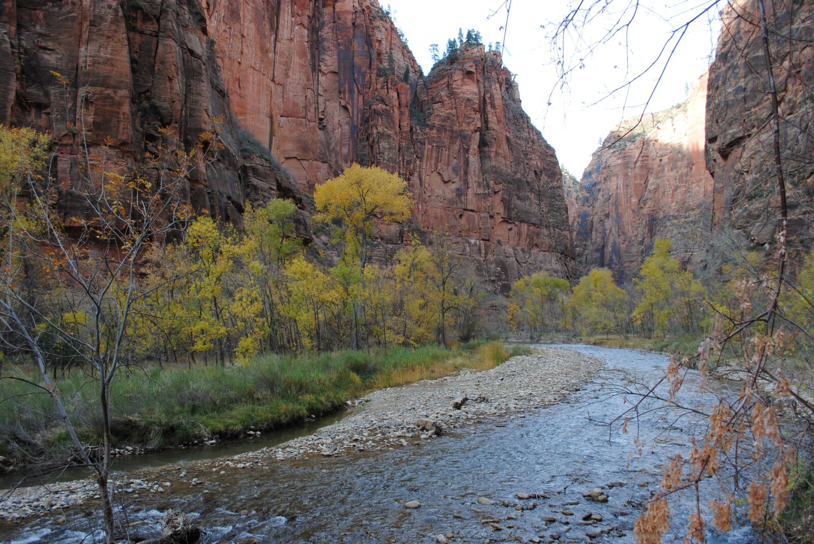 Nikon D3000 sample photo. St george, zion, national photography