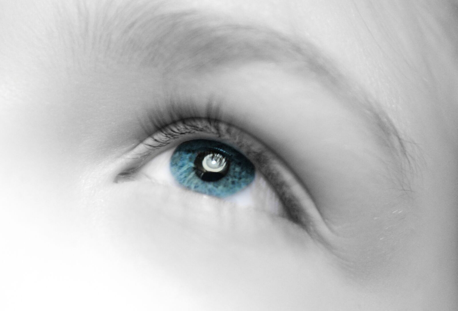 Nikon D610 sample photo. Eye, close up, staring photography