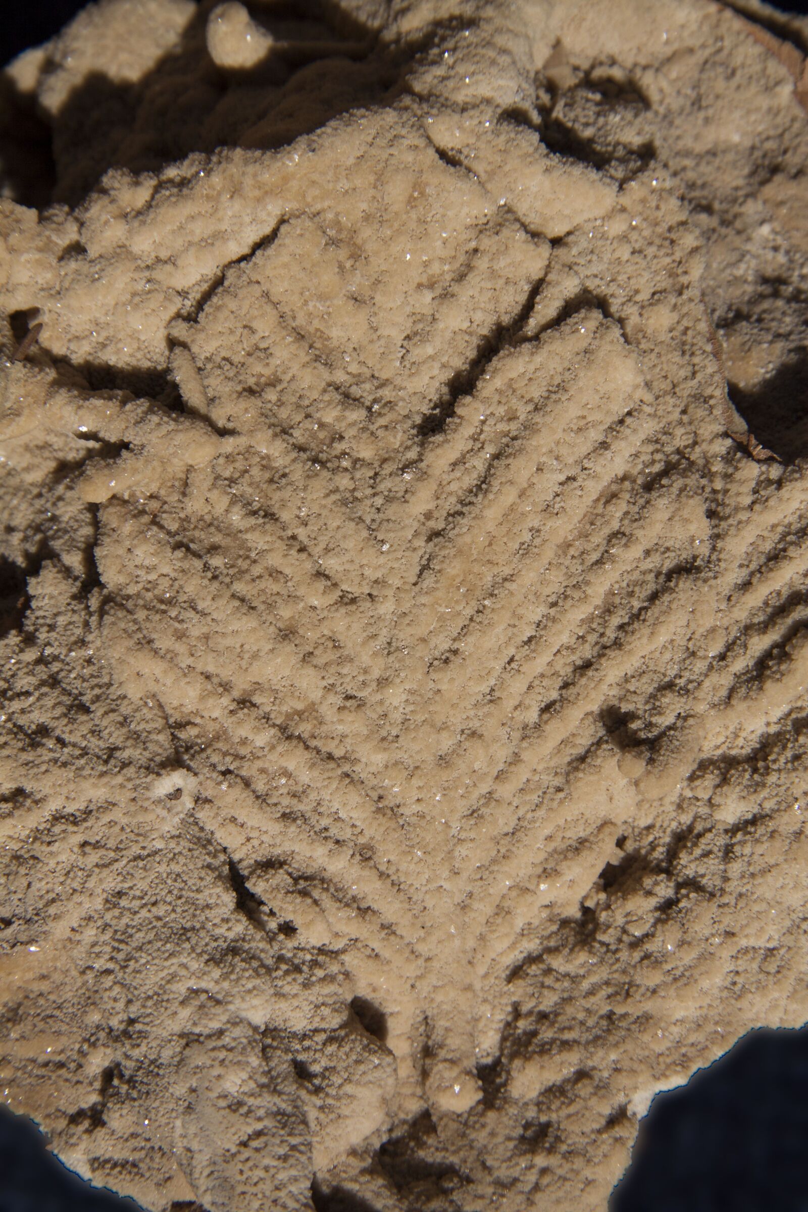 Canon EOS 50D sample photo. Leaf, sand, brown photography