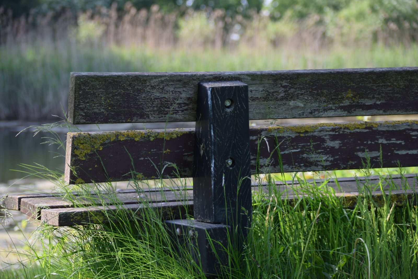 Nikon D3300 sample photo. Bank, musing, rest photography