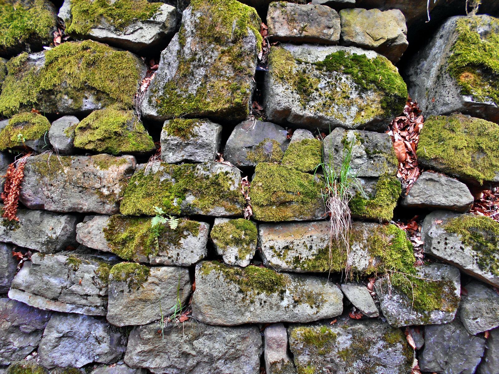 Nikon Coolpix S2900 sample photo. Stone wall, lake dusia photography