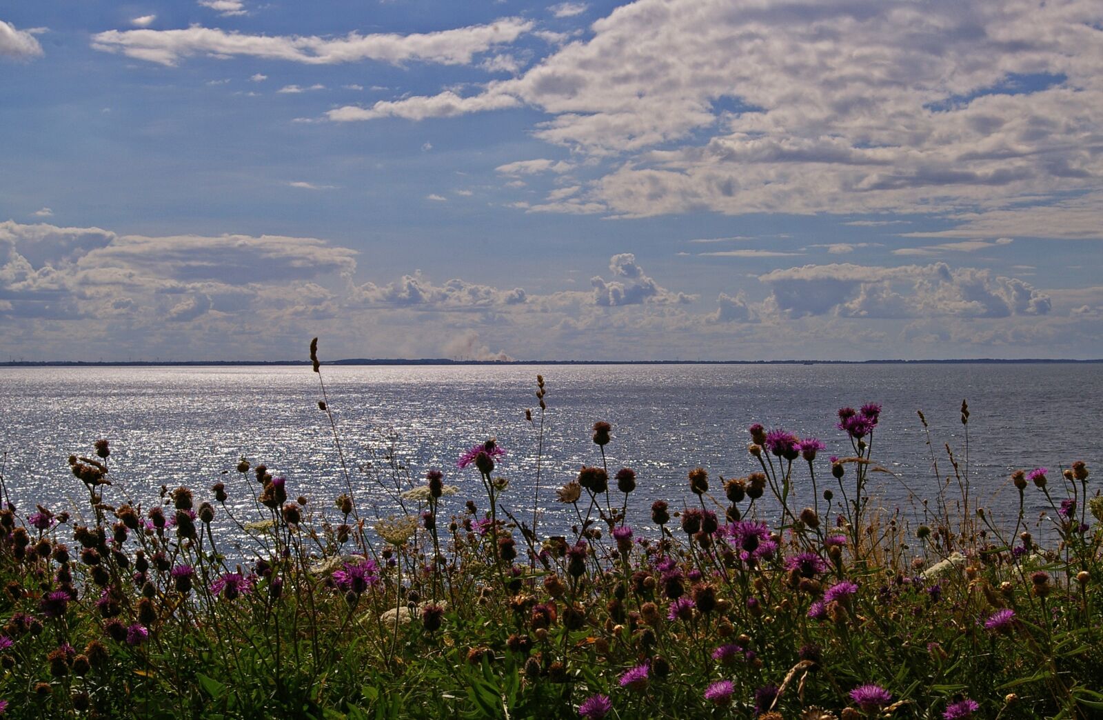 Pentax *ist DL2 sample photo. Denmark, danish coast, island photography