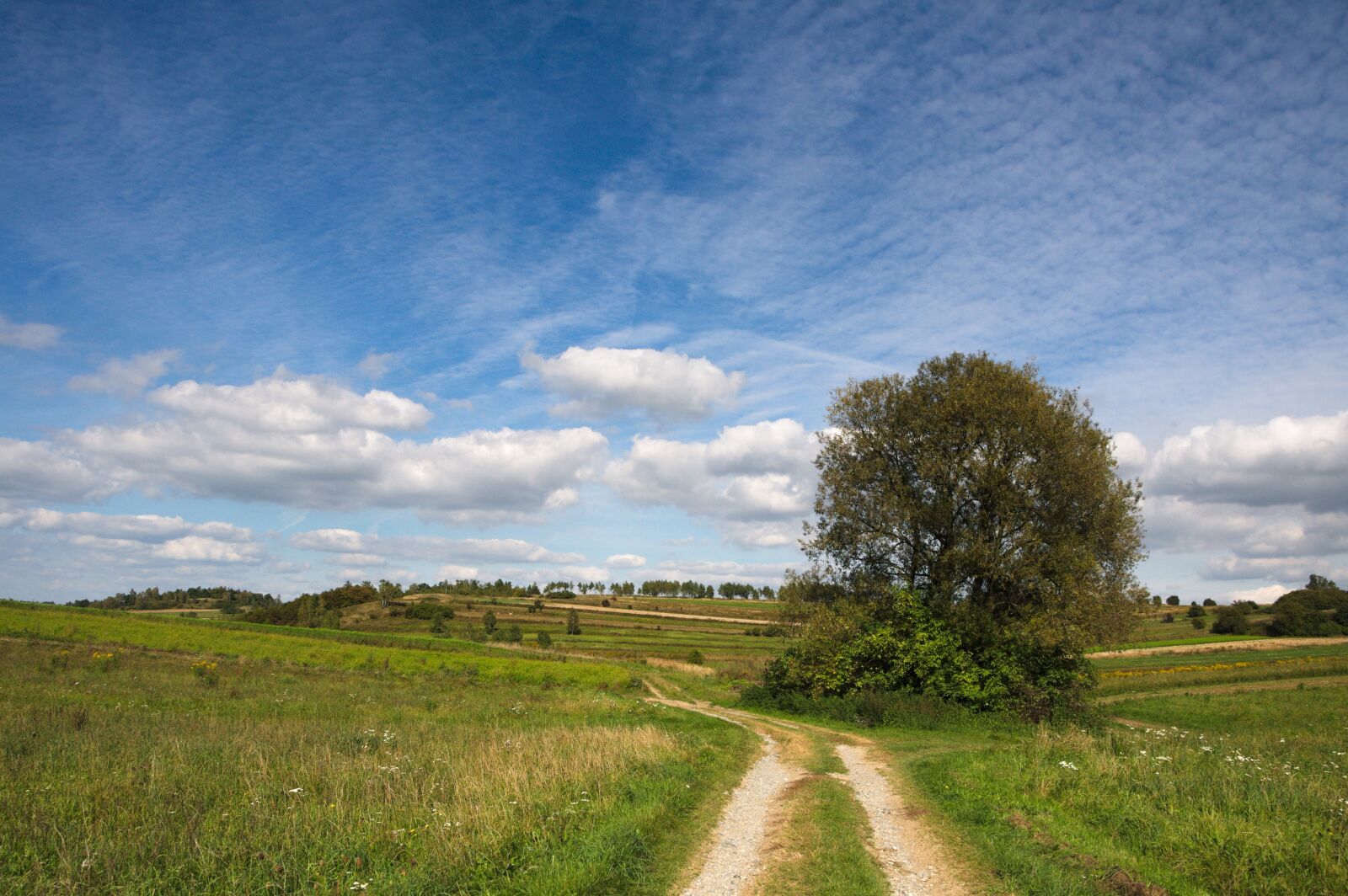 Nikon D90 sample photo. Landscape, poland, clouds photography