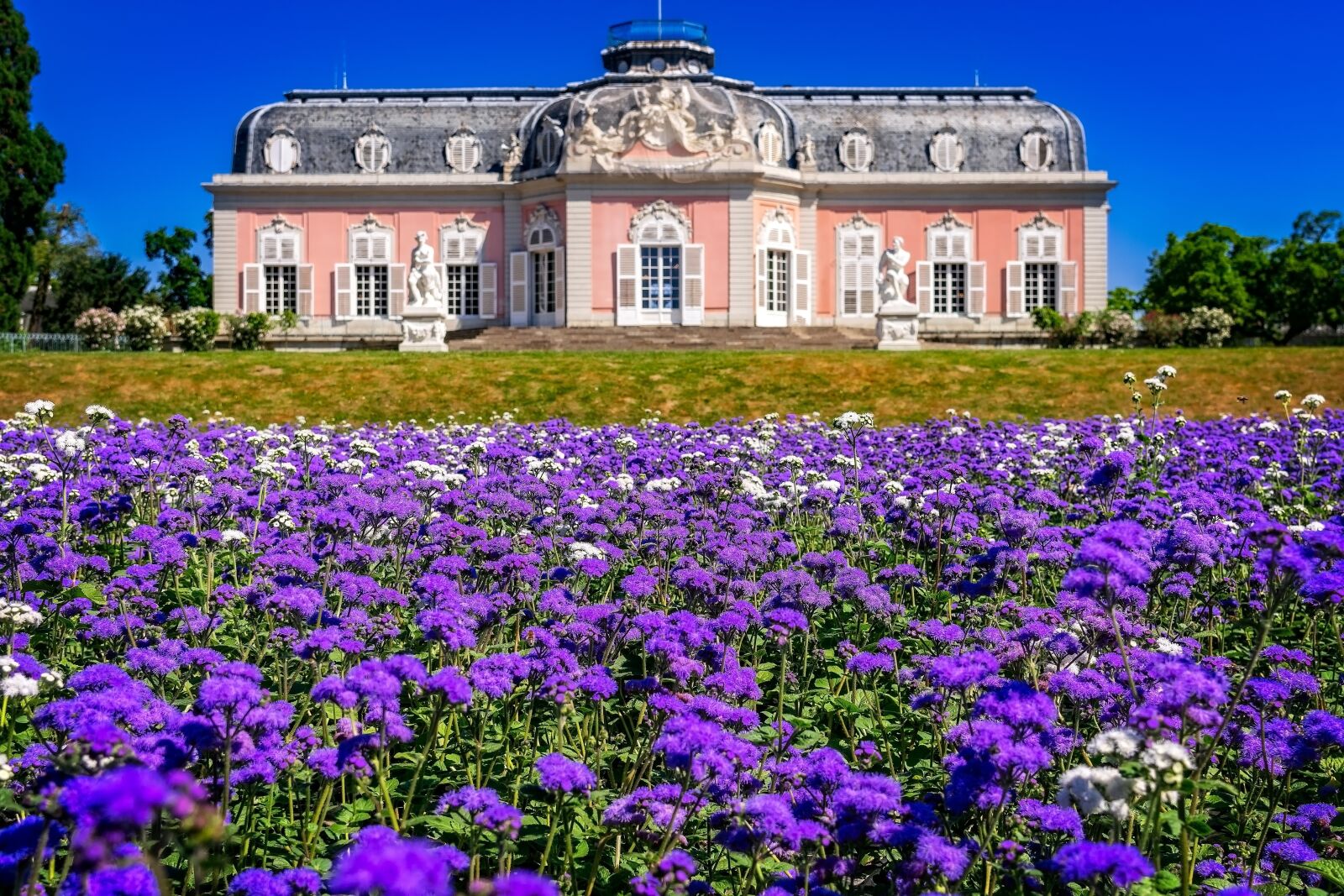 Nikon D3300 sample photo. Castle, park, flowers photography