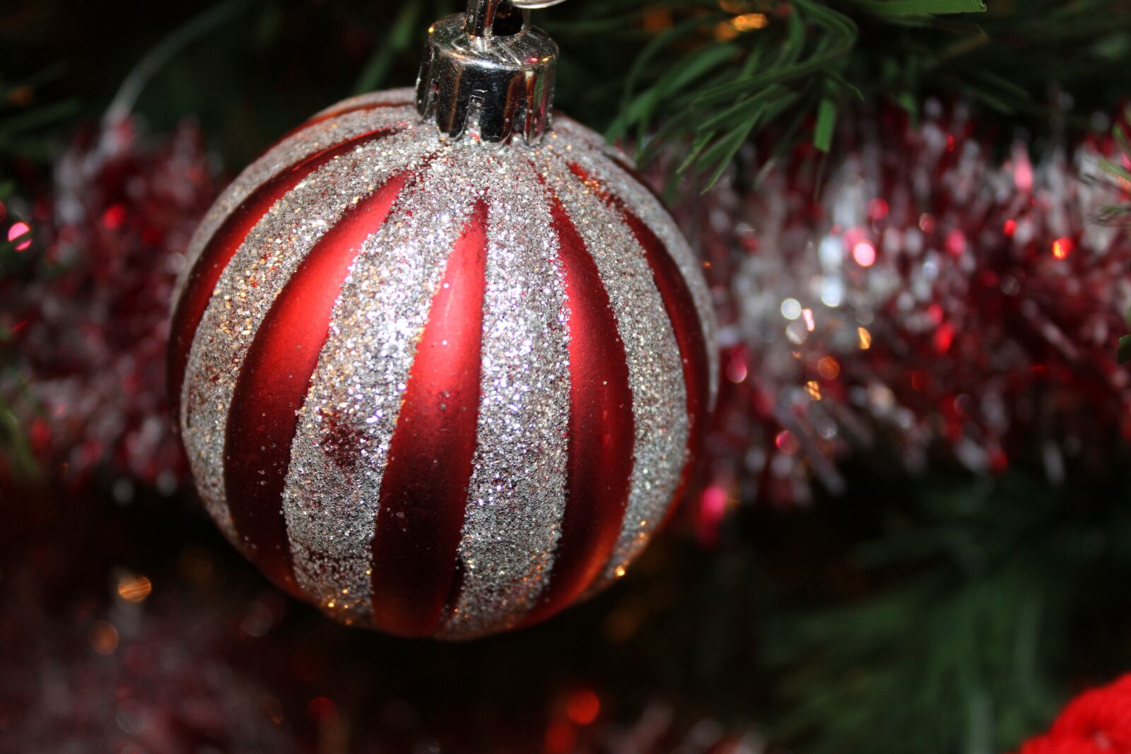 Canon EOS 2000D (EOS Rebel T7 / EOS Kiss X90 / EOS 1500D) sample photo. Red, silver, christmas photography