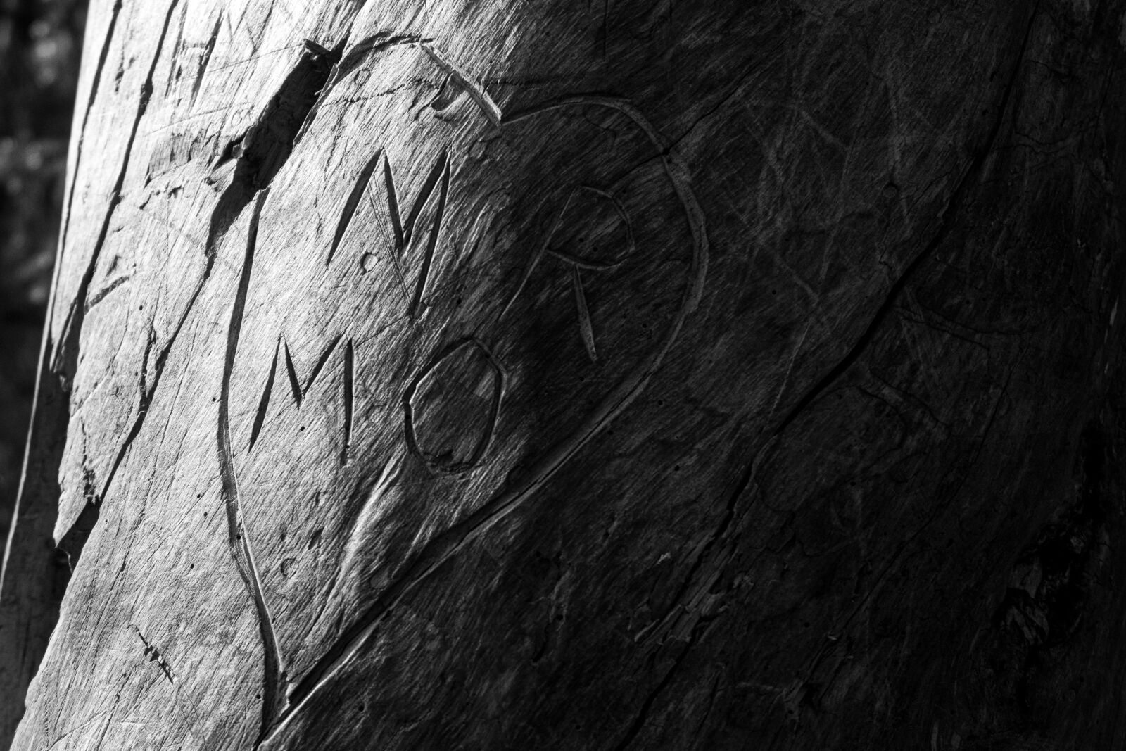 Canon PowerShot G7 X Mark II sample photo. Love, carving, wood carving photography