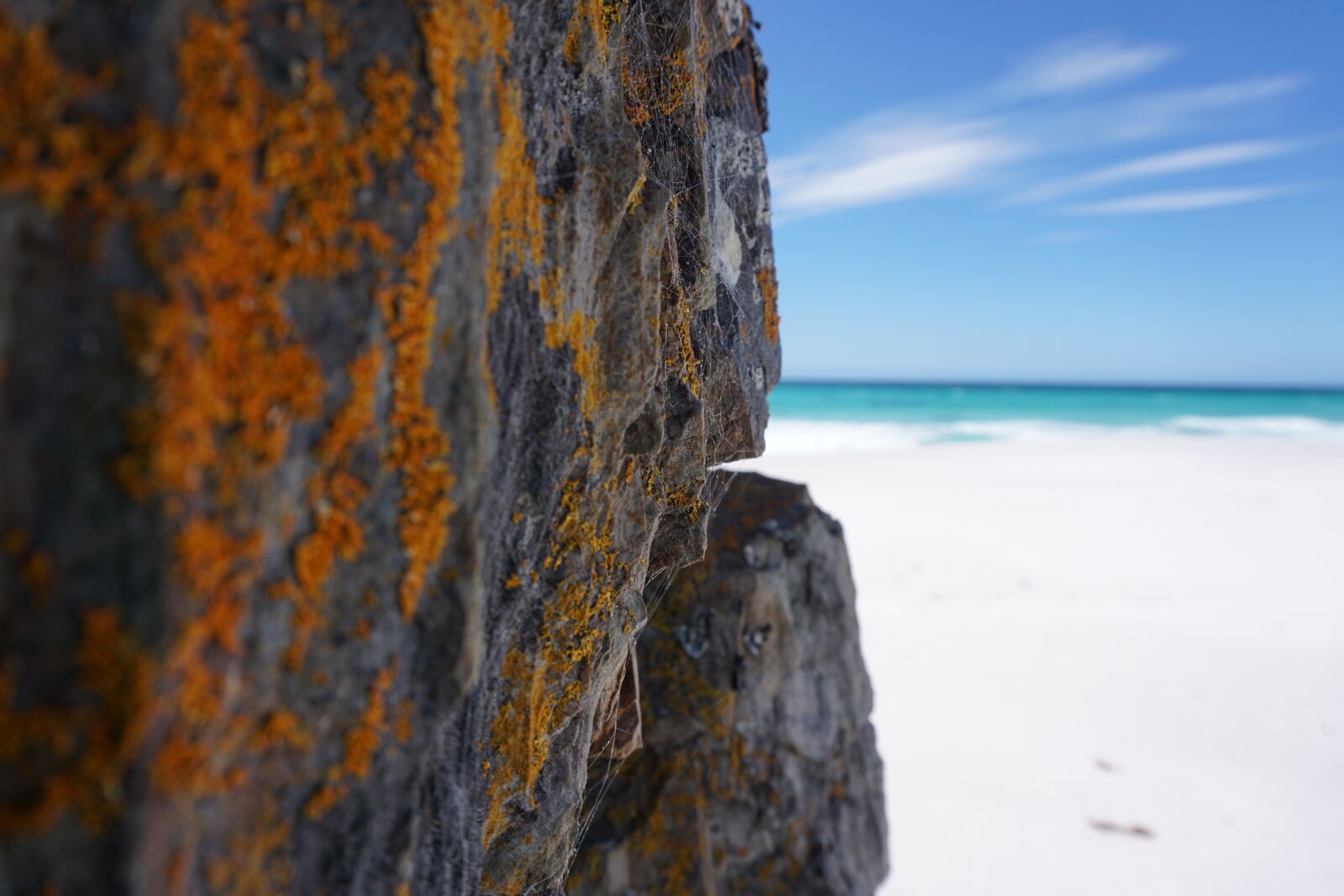 Sony a6000 sample photo. Moss, beach, rock photography