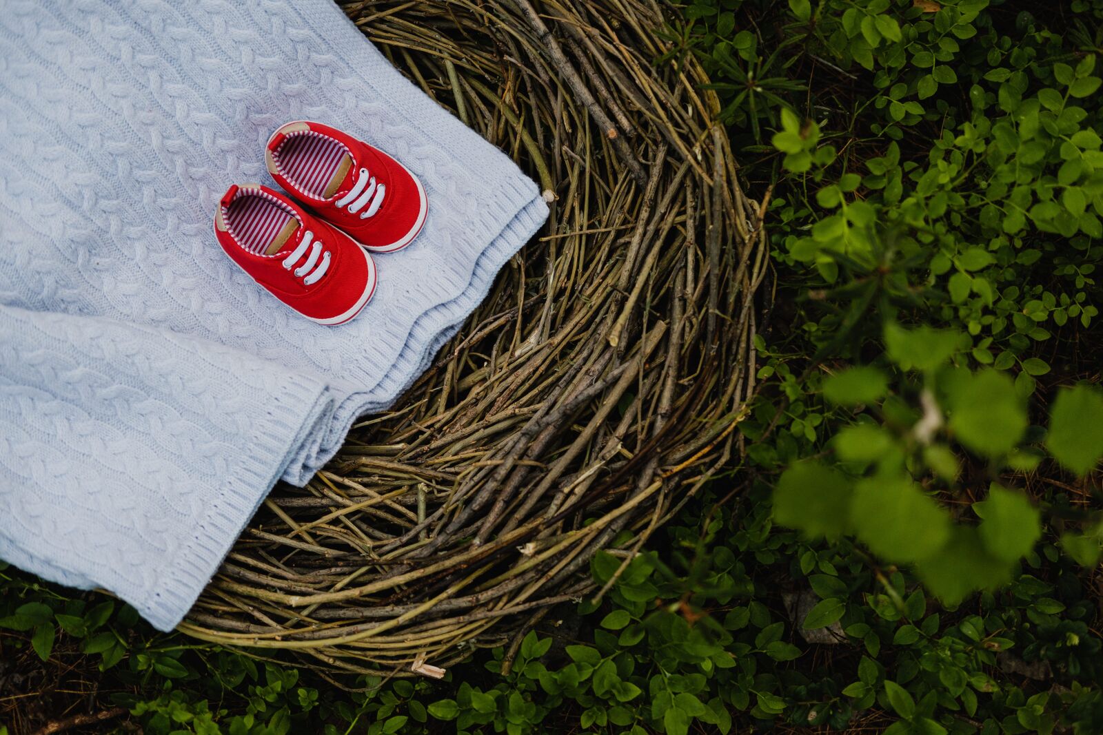 Fujifilm X-T2 + Fujifilm XF 35mm F2 R WR sample photo. Jack, kids, forest photography