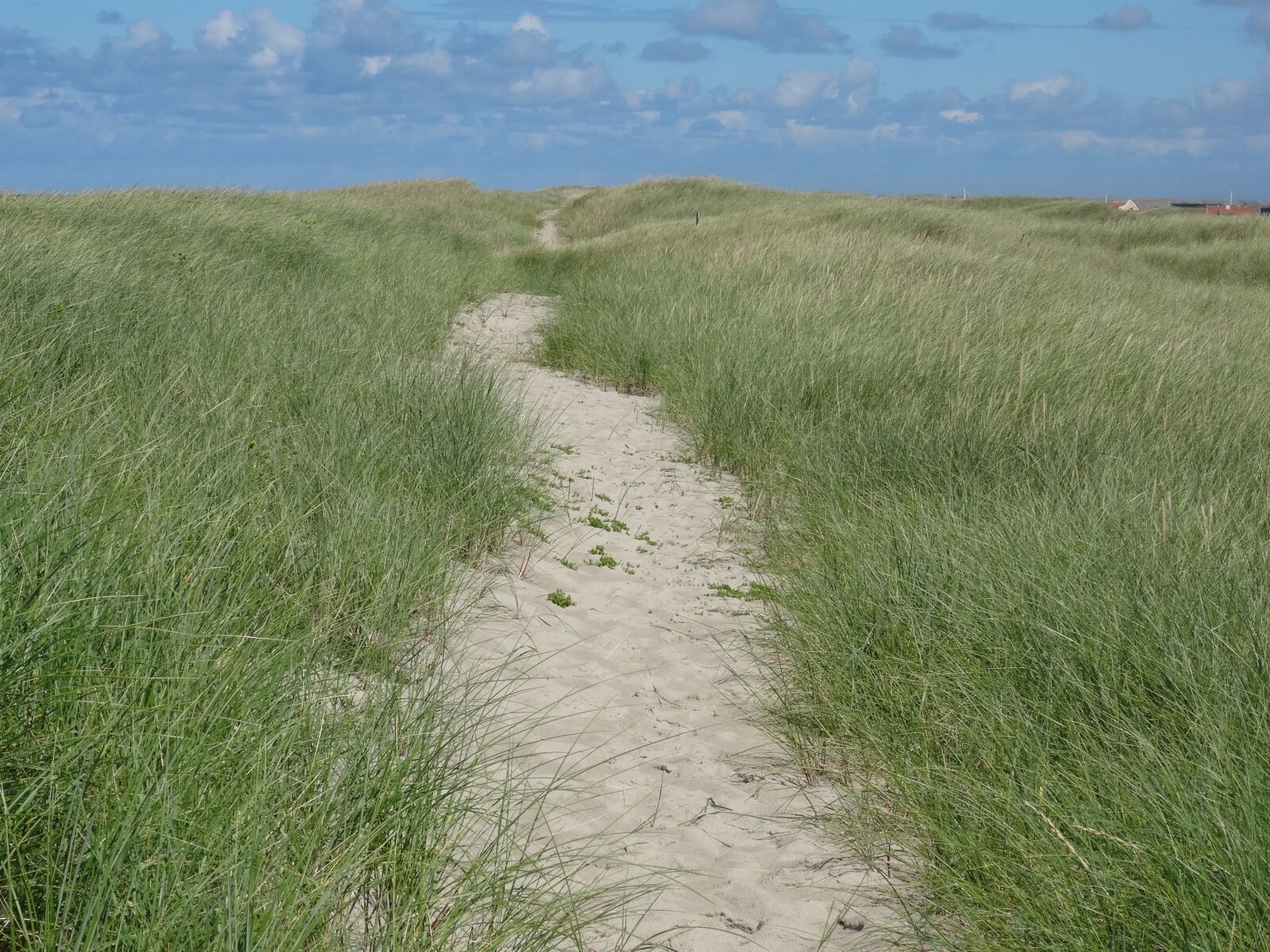 Sony Cyber-shot DSC-HX50V sample photo. Dunes, dune hike, beach photography