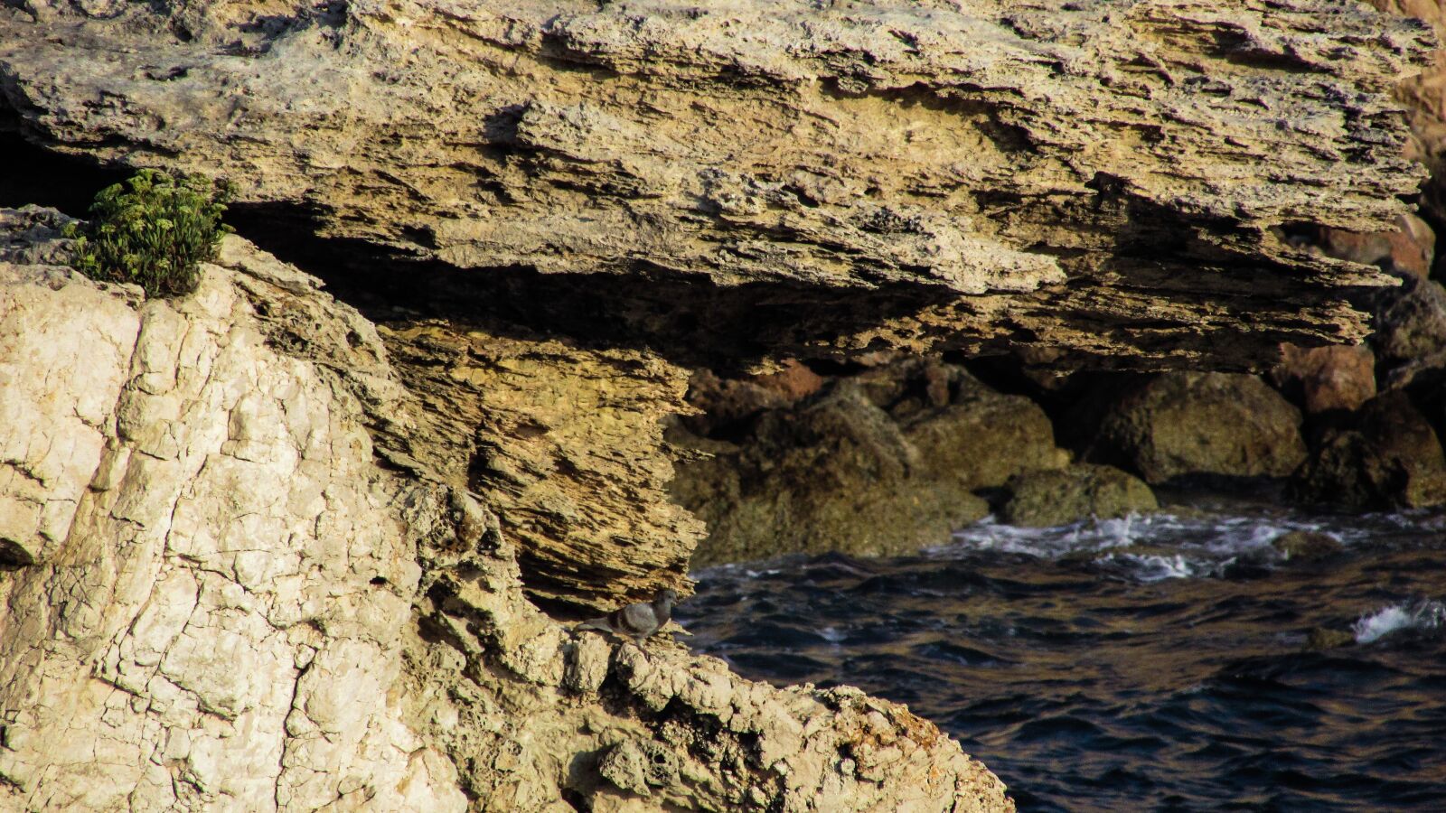Canon PowerShot SX400 IS sample photo. Rock, sharp, wild photography