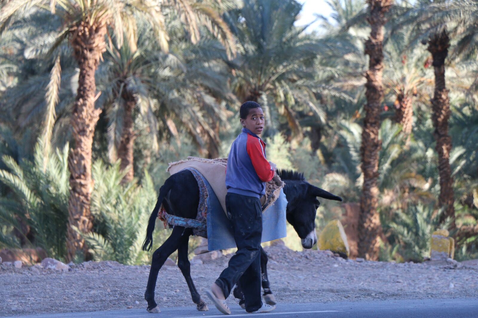 Canon EOS 70D sample photo. Morocco, wilderness, boy photography