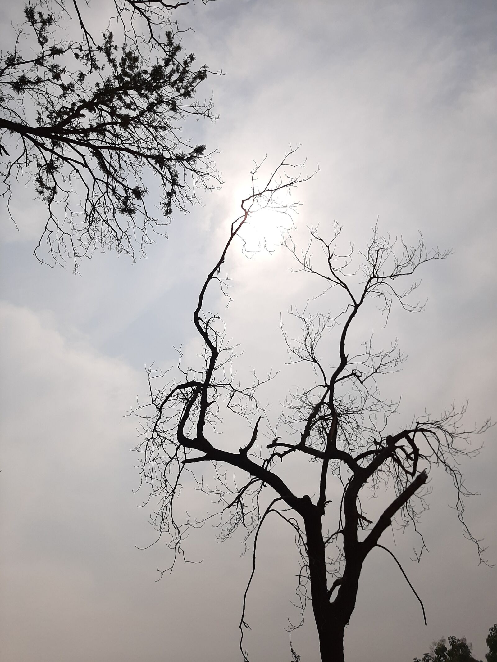 Samsung SM-A505F sample photo. Nature, beautiful nature, nature photography