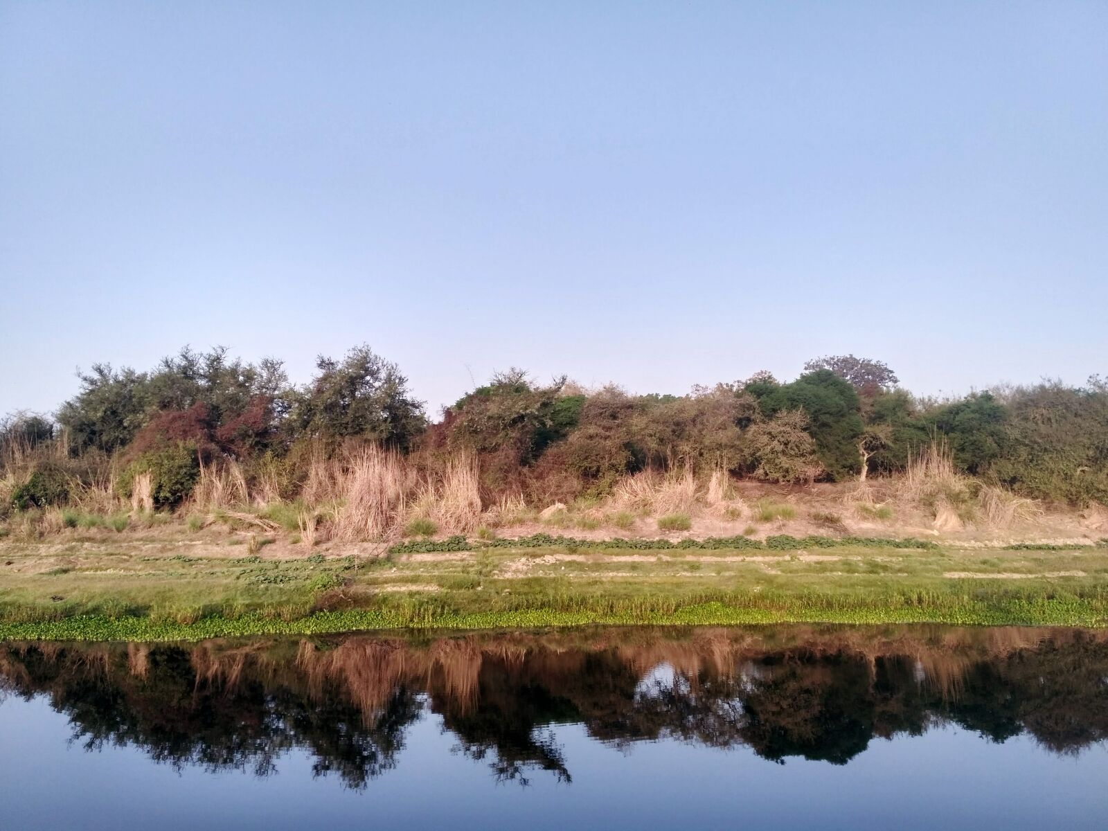 Xiaomi Redmi 3S sample photo. River, reflection photography