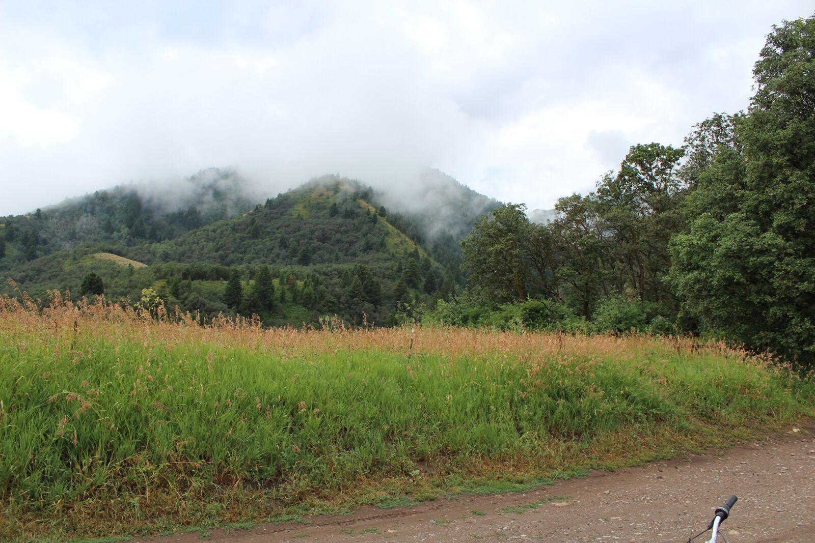 Canon EOS 1300D (EOS Rebel T6 / EOS Kiss X80) sample photo. Stormy clouds on a photography