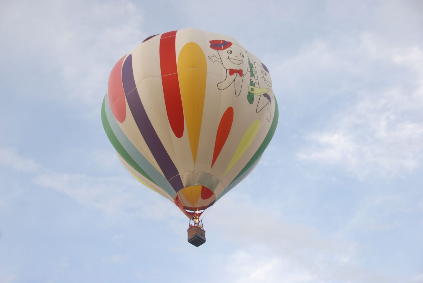 Nikon D200 sample photo. Hot, air, balloon photography