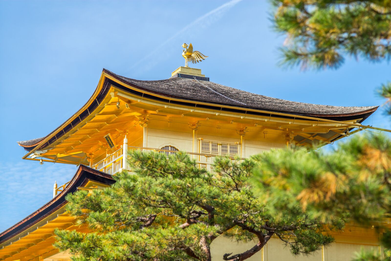 Leica M (Typ 240) + Leica APO-Summicron-M 90mm F2 ASPH sample photo. Roof, gold, temple photography