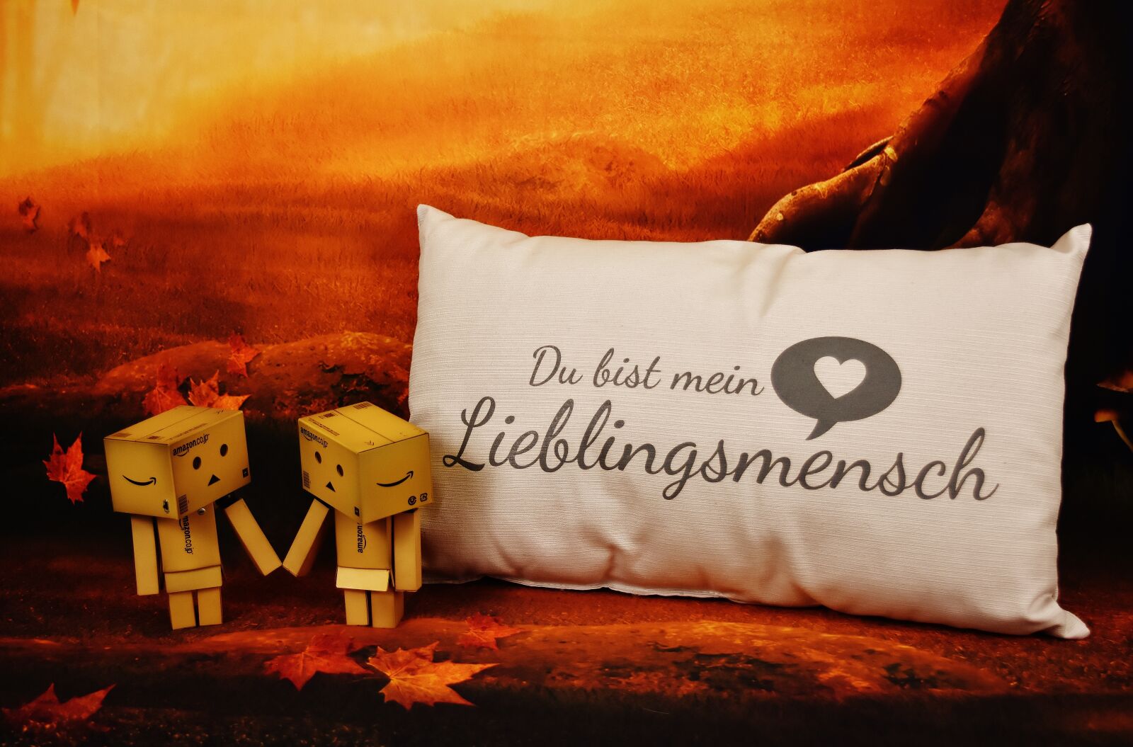 Nikon D7200 sample photo. Love, danbo, favorite human photography