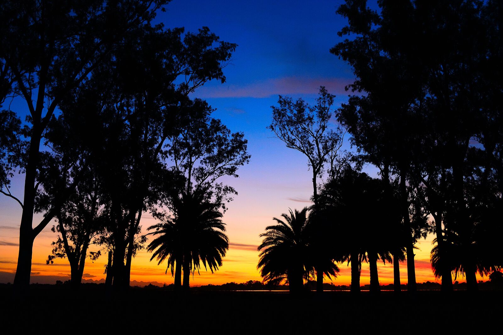 Nikon D5200 sample photo. Laguna, landscape, sunset photography