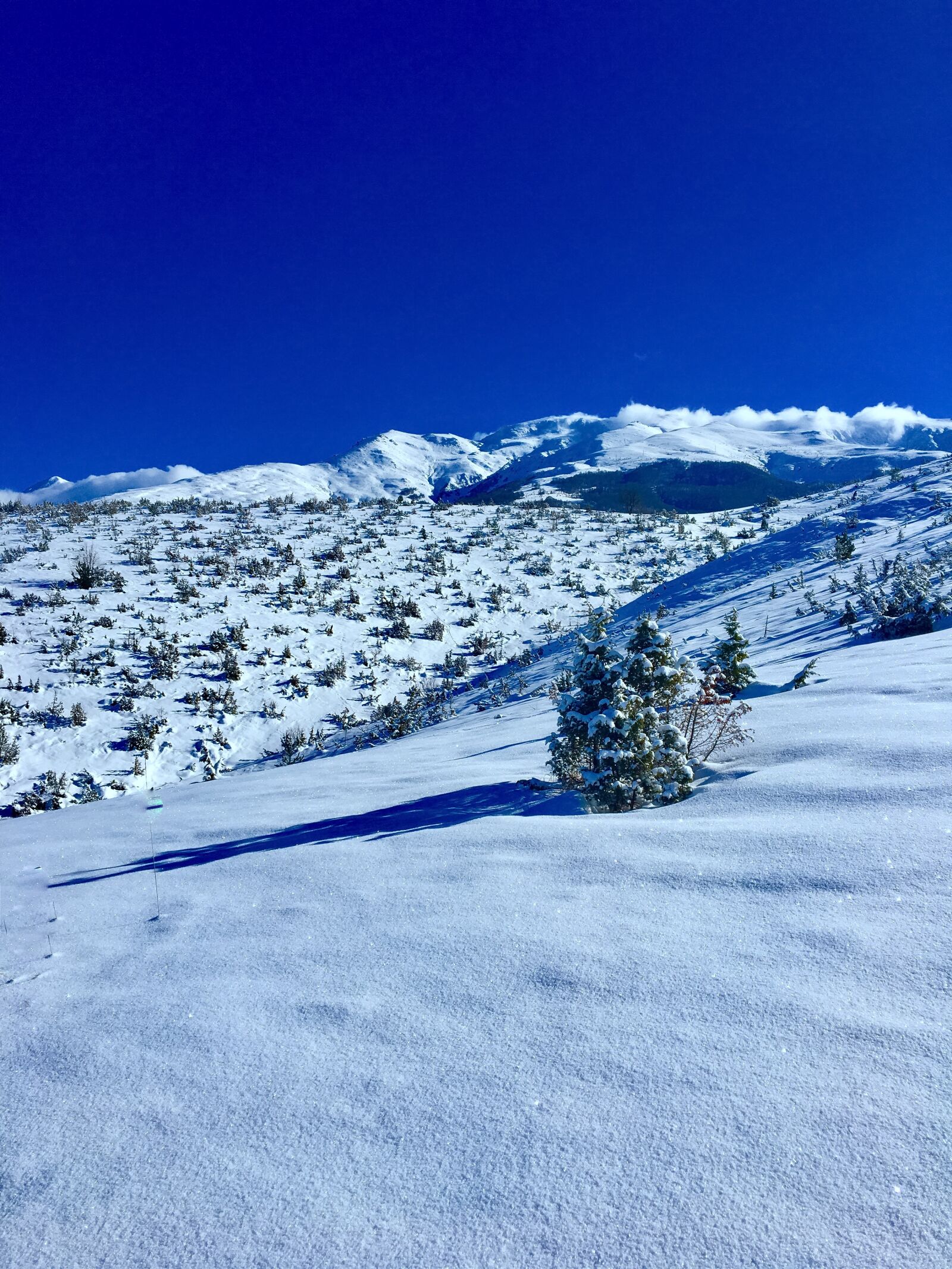 Apple iPhone 6s sample photo. Blue, mountains, blue, sky photography
