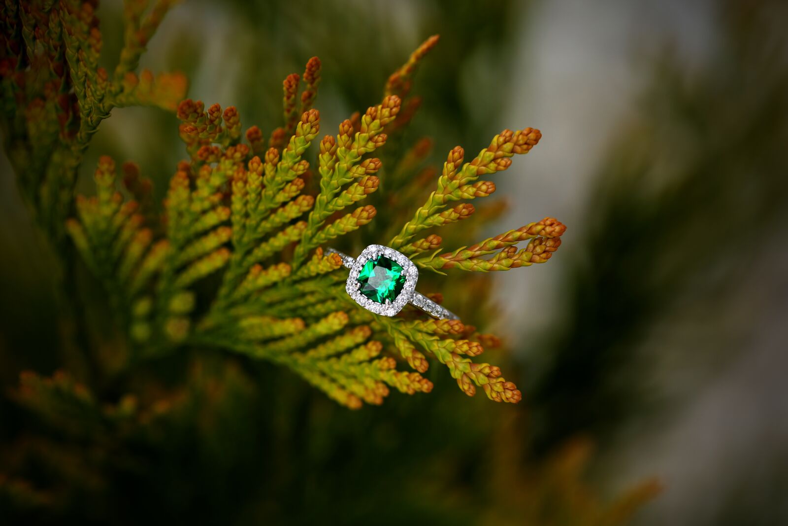 Canon EF 100mm F2.8L Macro IS USM sample photo. Ring, engagement, love photography
