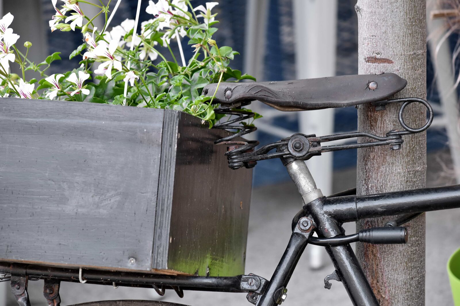 Nikon D5500 sample photo. Bicycle, black, decoration, flowerpot photography