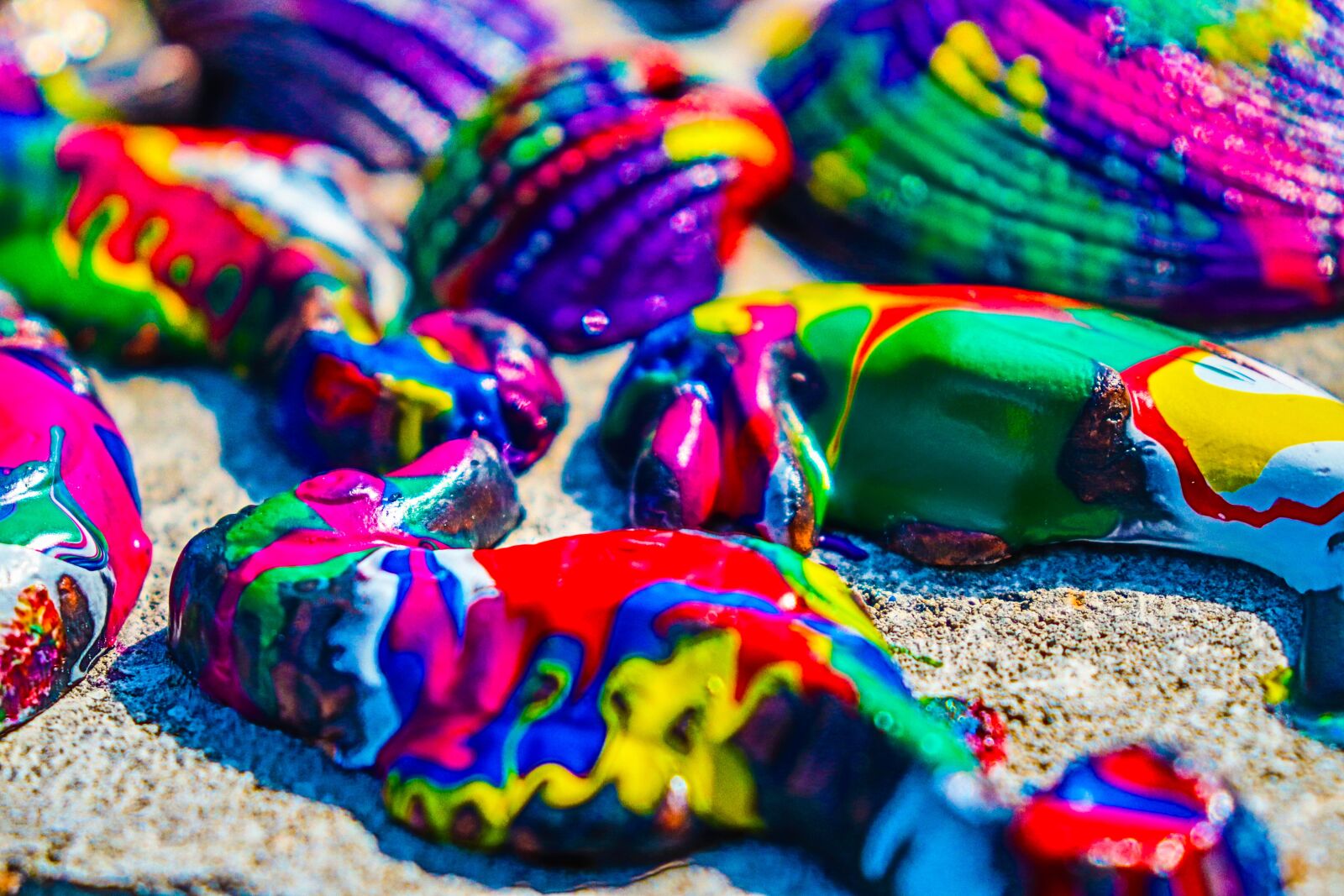 Canon EOS 800D (EOS Rebel T7i / EOS Kiss X9i) sample photo. Colorful, painting, shells photography