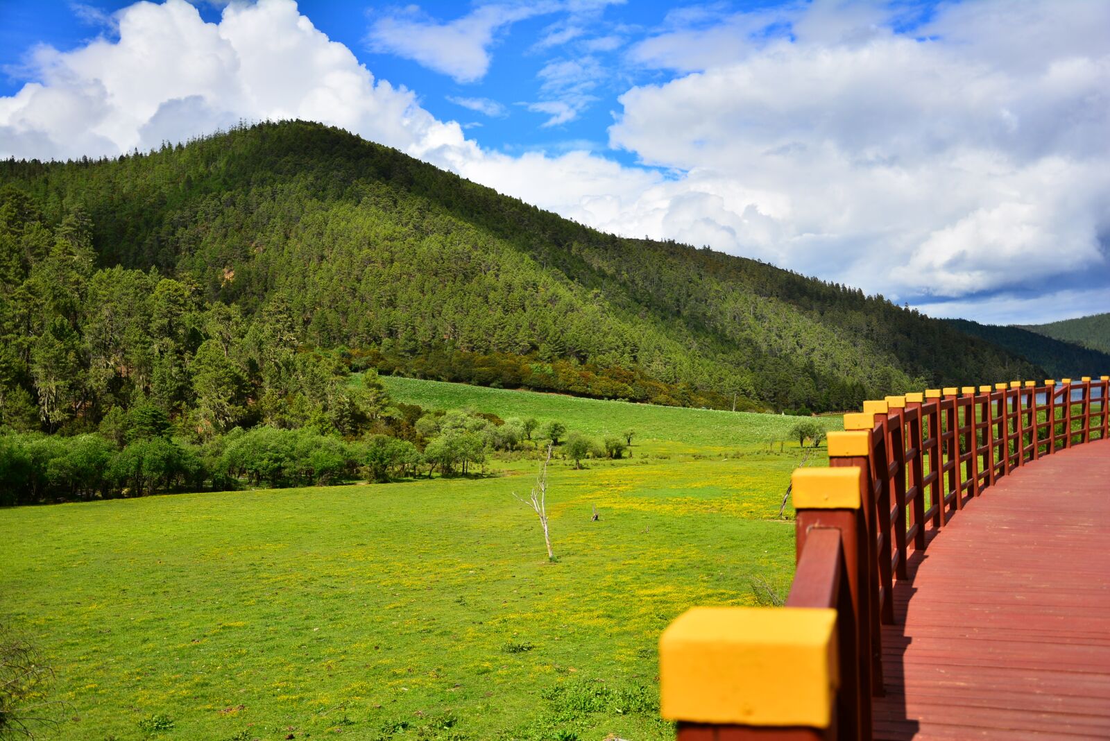 Nikon D7100 sample photo. The scenery, shangri-la's, pudacuo photography