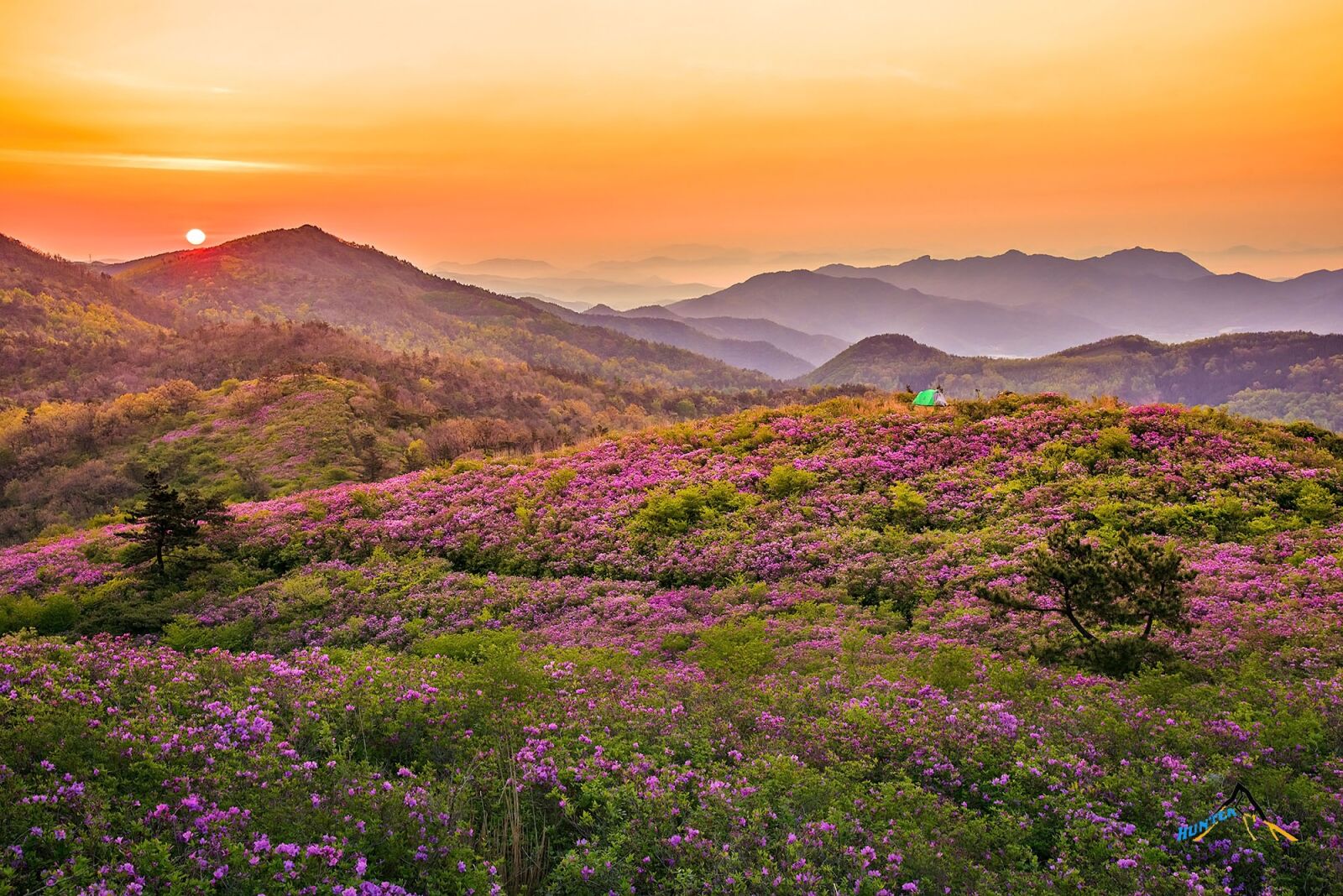 Nikon D810 sample photo. Spring, wallpapers photography