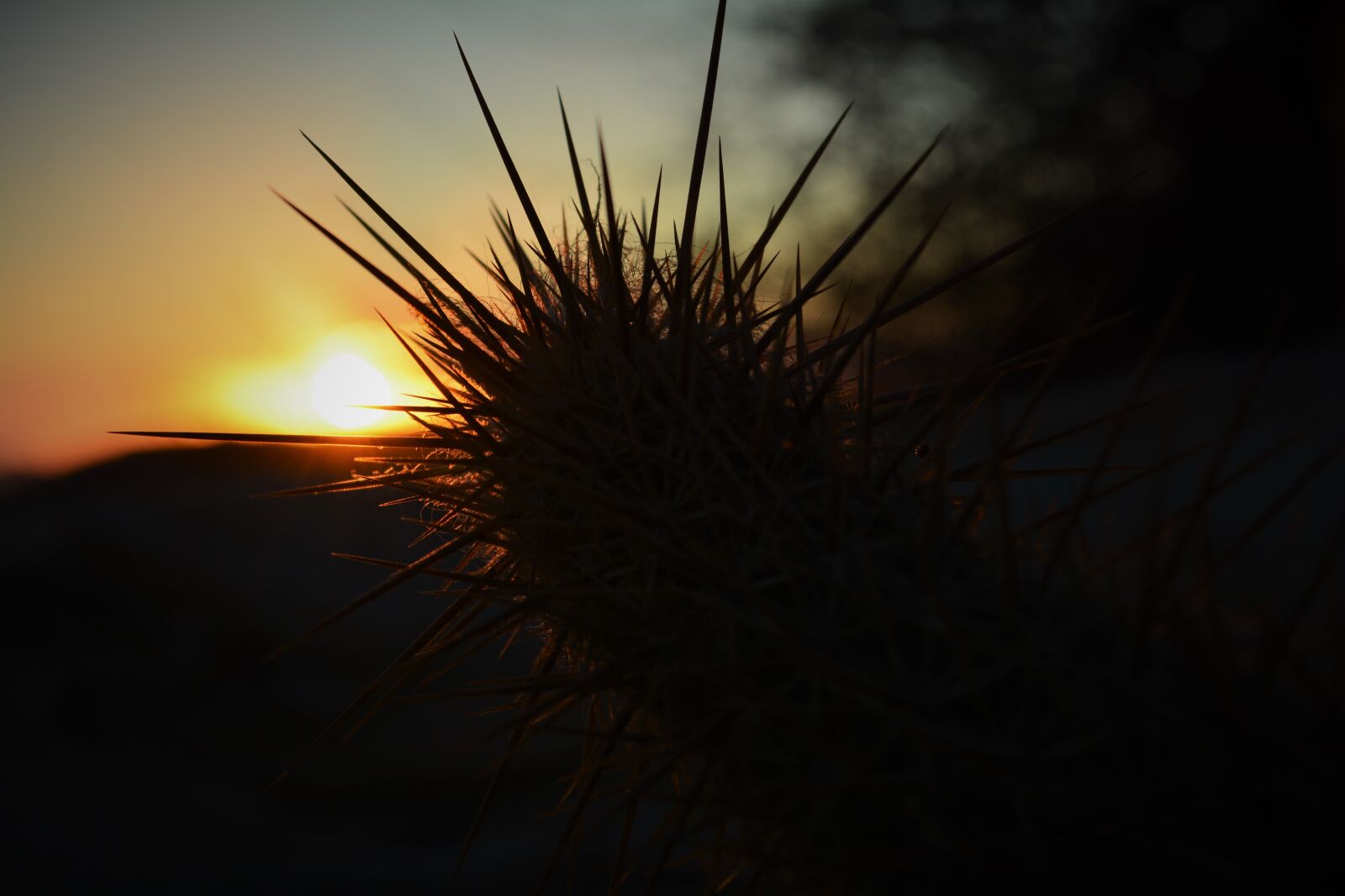 Nikon D5200 sample photo. Northeast, dry, sunset photography