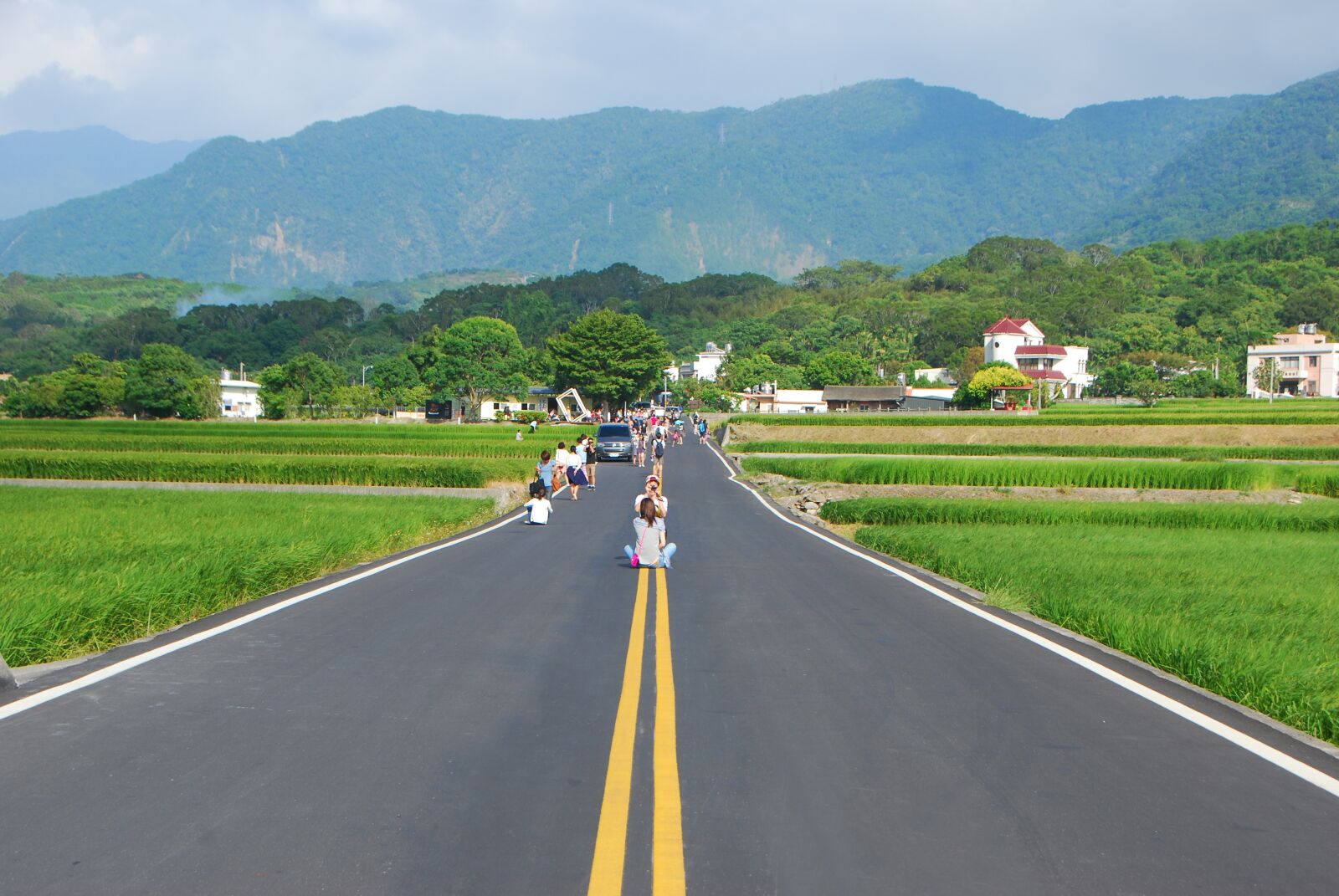 Nikon D80 sample photo. Taiwan, brown boulevard, on photography