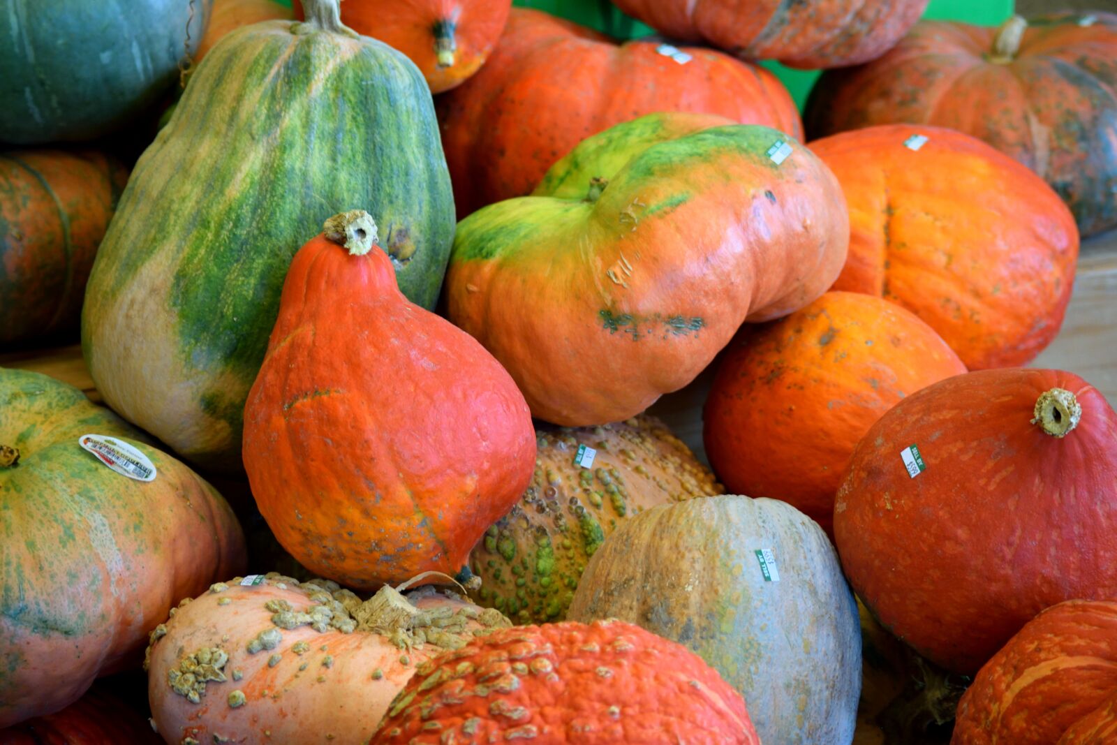 Nikon D3300 sample photo. Pumpkins, vegetable, food photography