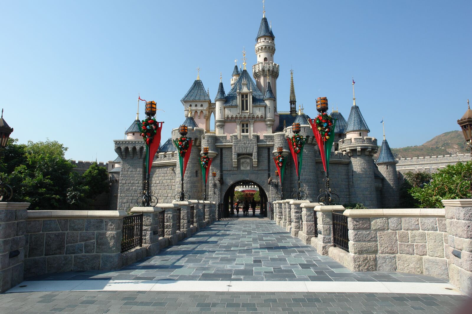 Sony DSC-R1 sample photo. Hongkong, hongkong disneyland, china photography