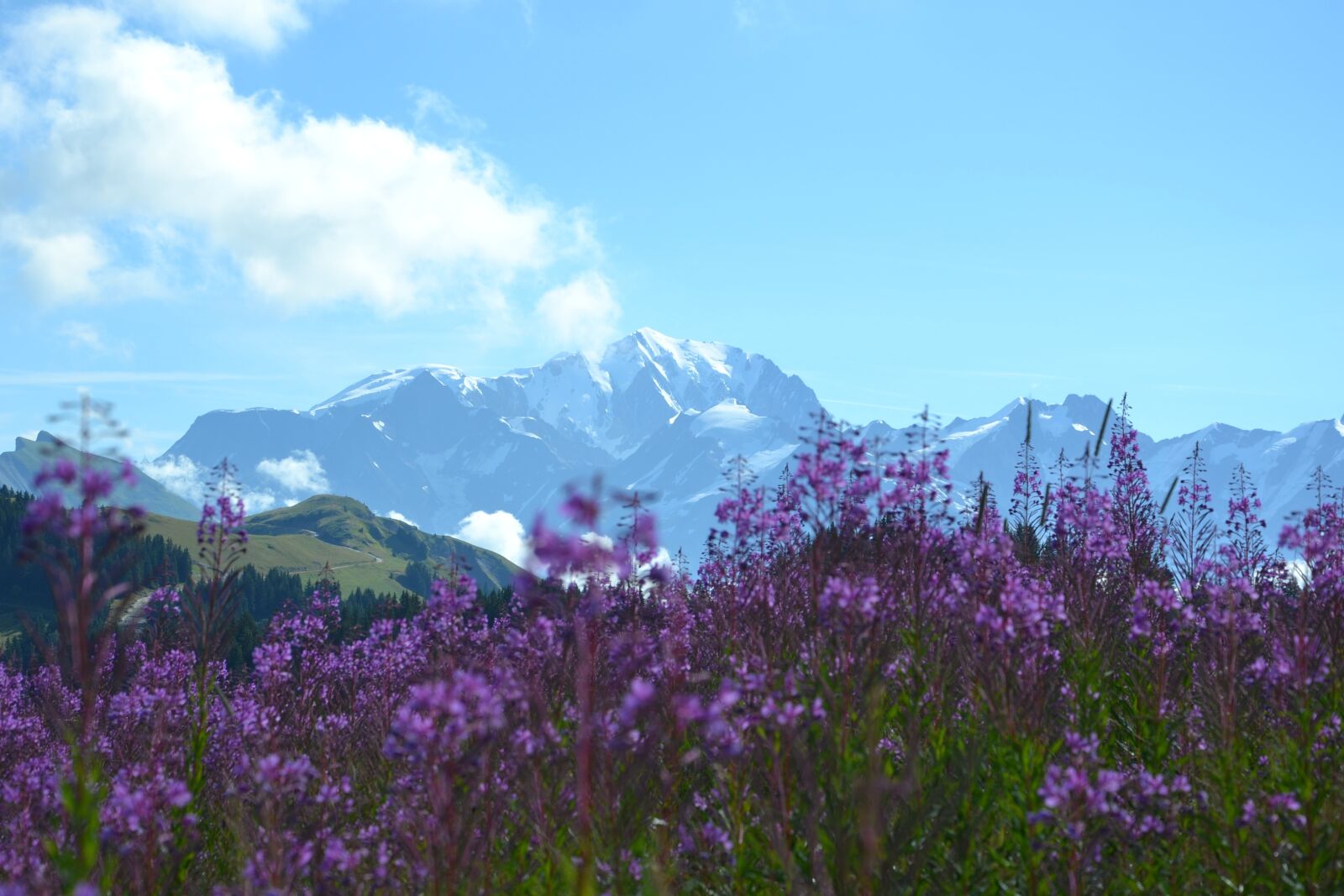 Nikon D3100 sample photo. Lessaisies, alps, beaufort photography