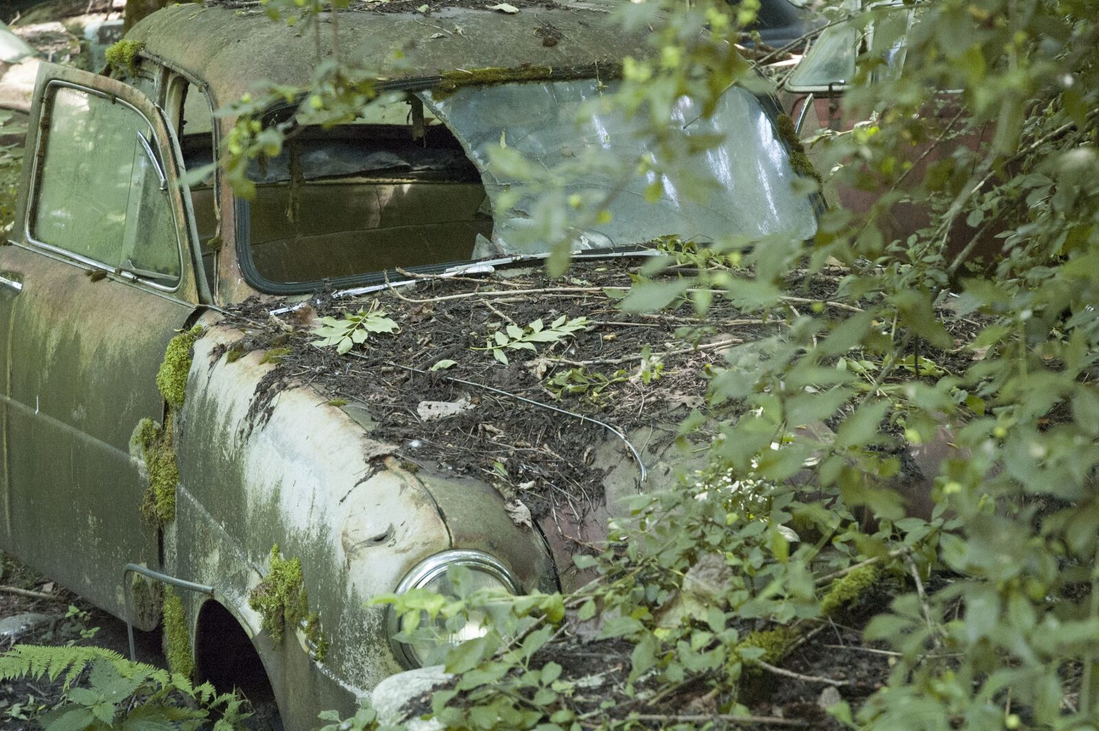 Nikon D70 sample photo. Auto, car cemetery, oldtimer photography