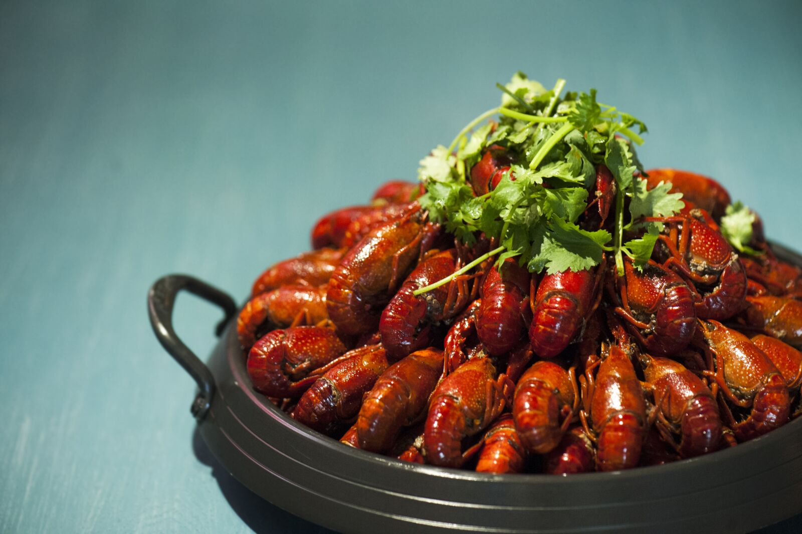 Nikon D700 sample photo. Crayfish, crayfish 1, the crayfish 2 photography
