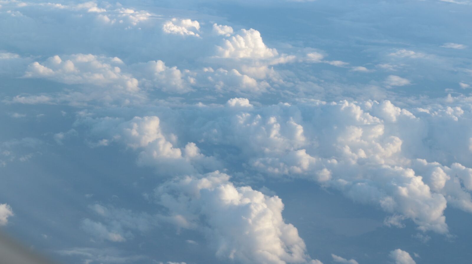 Canon EOS 70D + Canon EF 50mm F1.8 II sample photo. Downy, nature, cloudscape photography