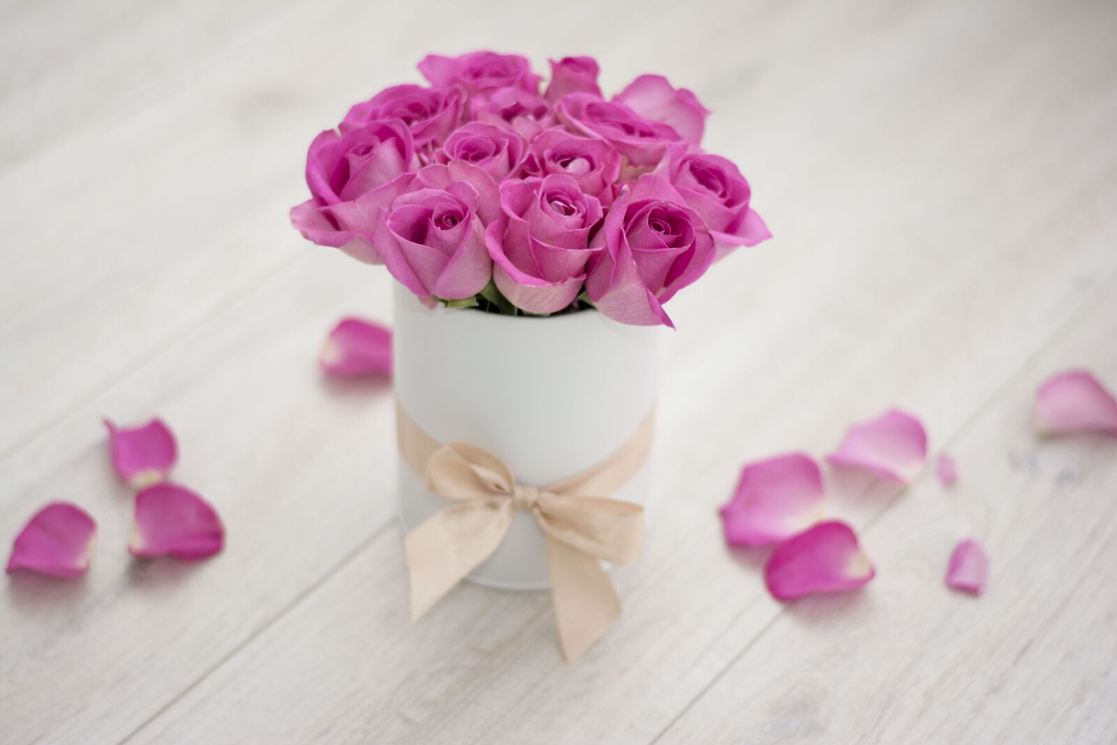 Nikon D5200 sample photo. Flowers, roses, pink photography