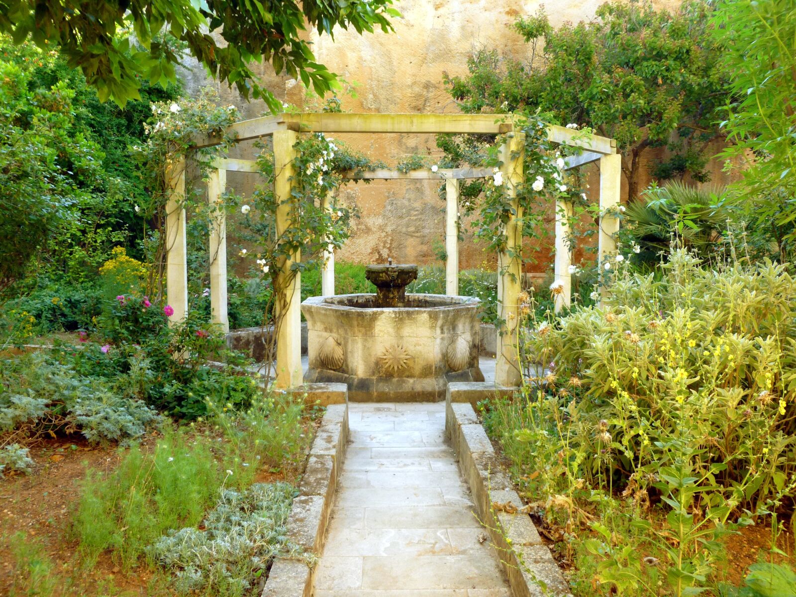 Panasonic DMC-FS37 sample photo. Fountain, wild, haunting photography
